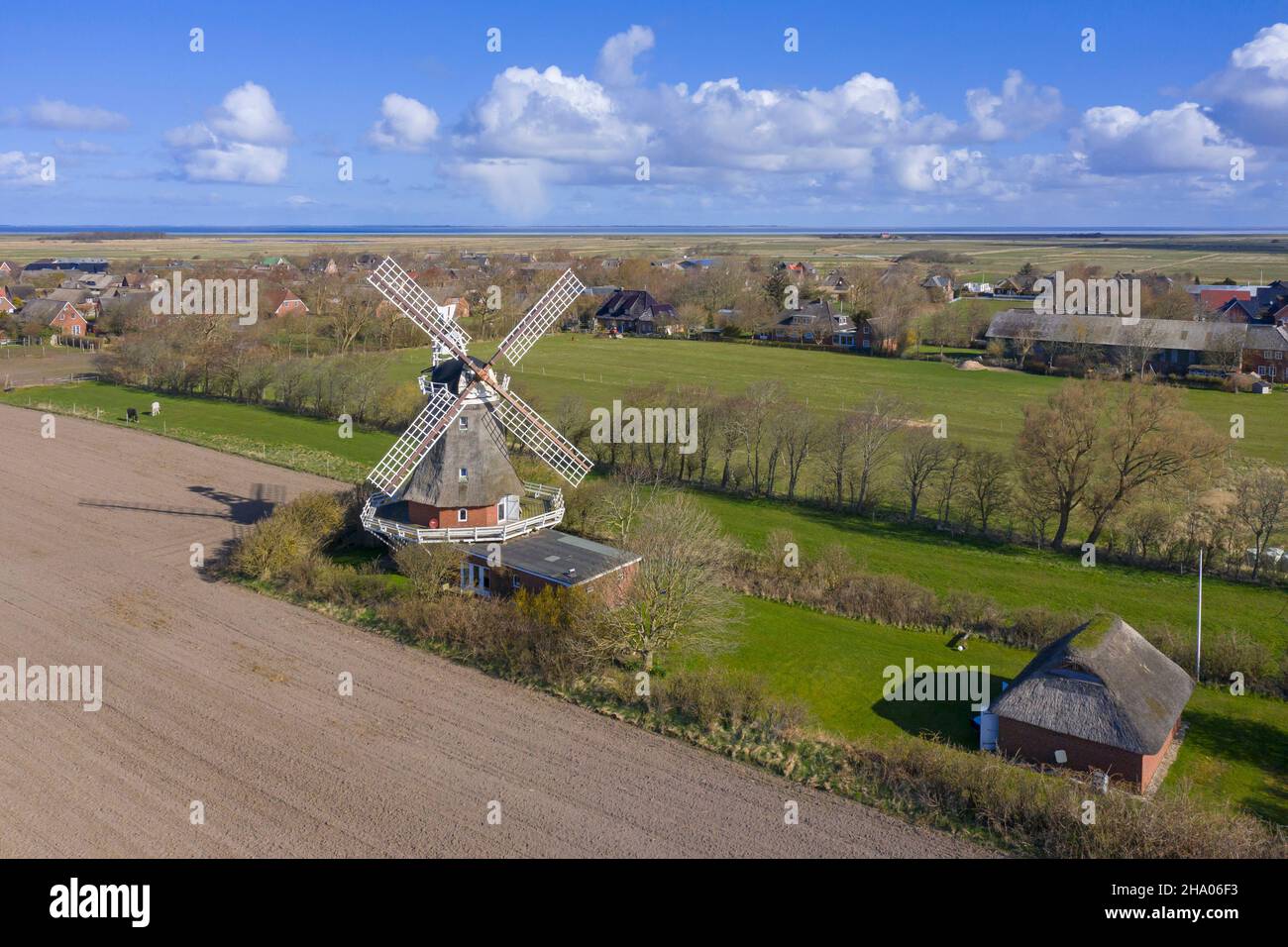 Luftaufnahme über Windmühle in Oldsum auf der Insel Föhr im Kreis Nordfriesland / Nordfriesland, Schleswig-Holstein, Deutschland Stockfoto