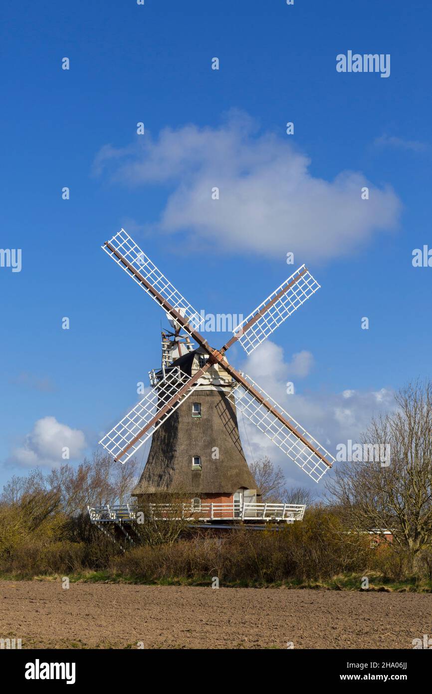 Windmühle in Oldsum auf der Insel Föhr im Kreis Nordfriesland / Nordfriesland, Schleswig-Holstein, Deutschland Stockfoto