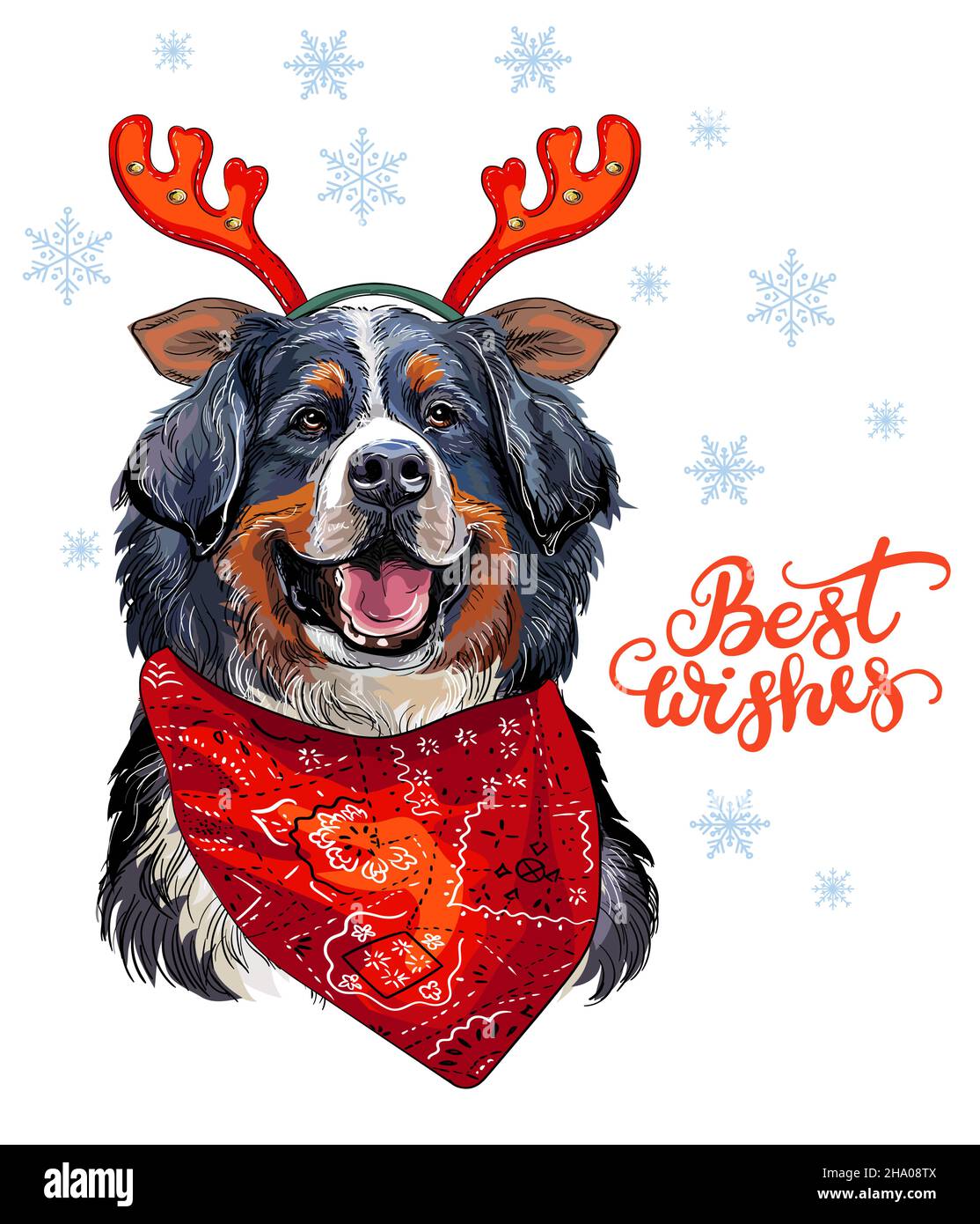Weihnachtskarte. Lustiges Berner Berghundeporträt mit einem Hirschgeweih, Schal, Schneeflocken und Schriftzug. Vektorgrafik. Für Dekor, Design, prin Stock Vektor