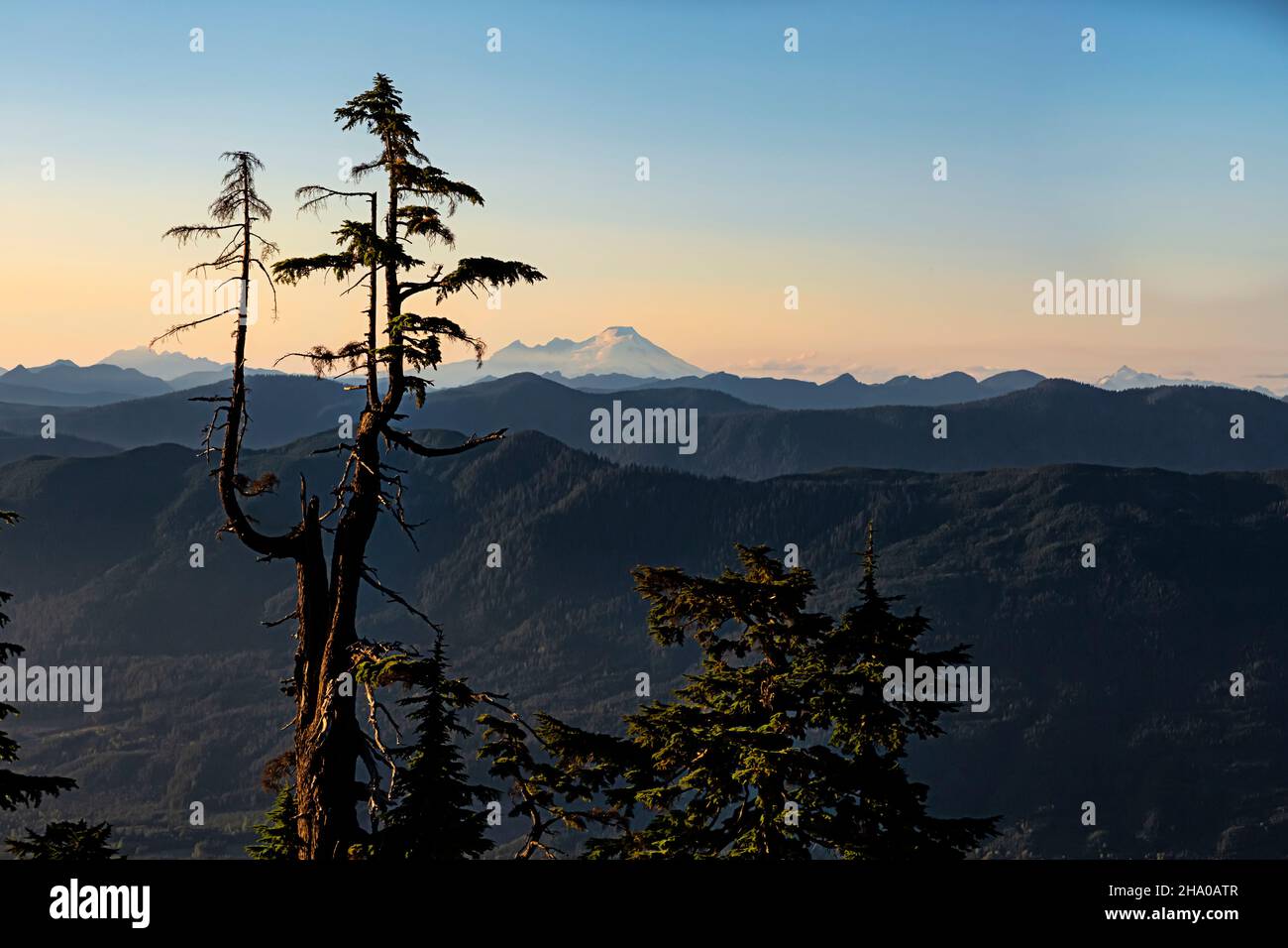 WA19859-00...WASHINGTON - Sonnenuntergang auf dem Mount Baker hoch über dem Stillaguamish River auf dem Mount Pilchuck Trail. Stockfoto