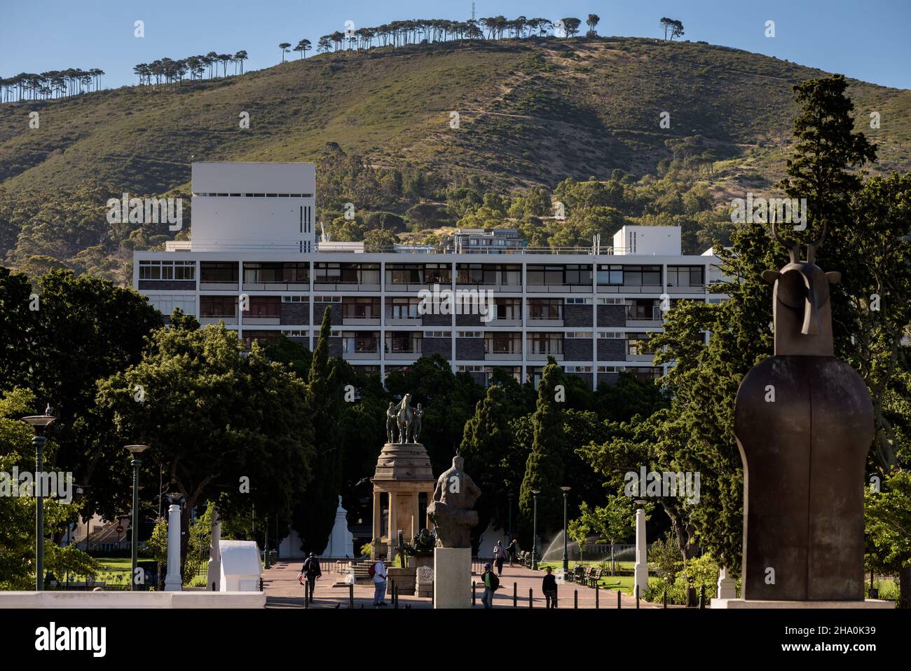 Die Company Garden von Kapstadt mit dem Hintergrund des Signal Hill, Teil der Topographie der Stadt, die sie unverwechselbar und weltweit erkennbar macht Stockfoto
