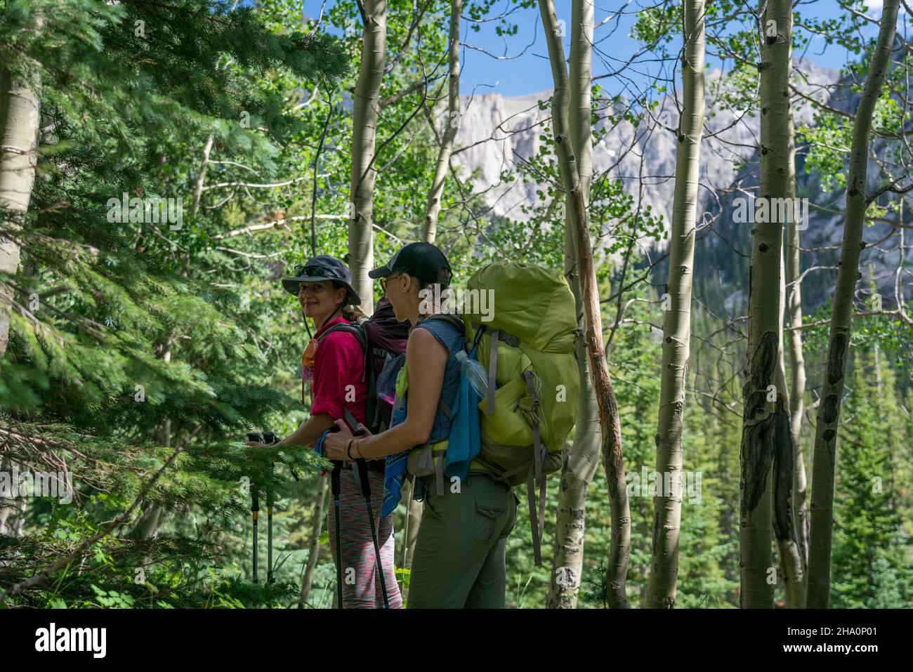 Zwei weibliche Backpacker halten in den Espenbäumen inne Stockfoto