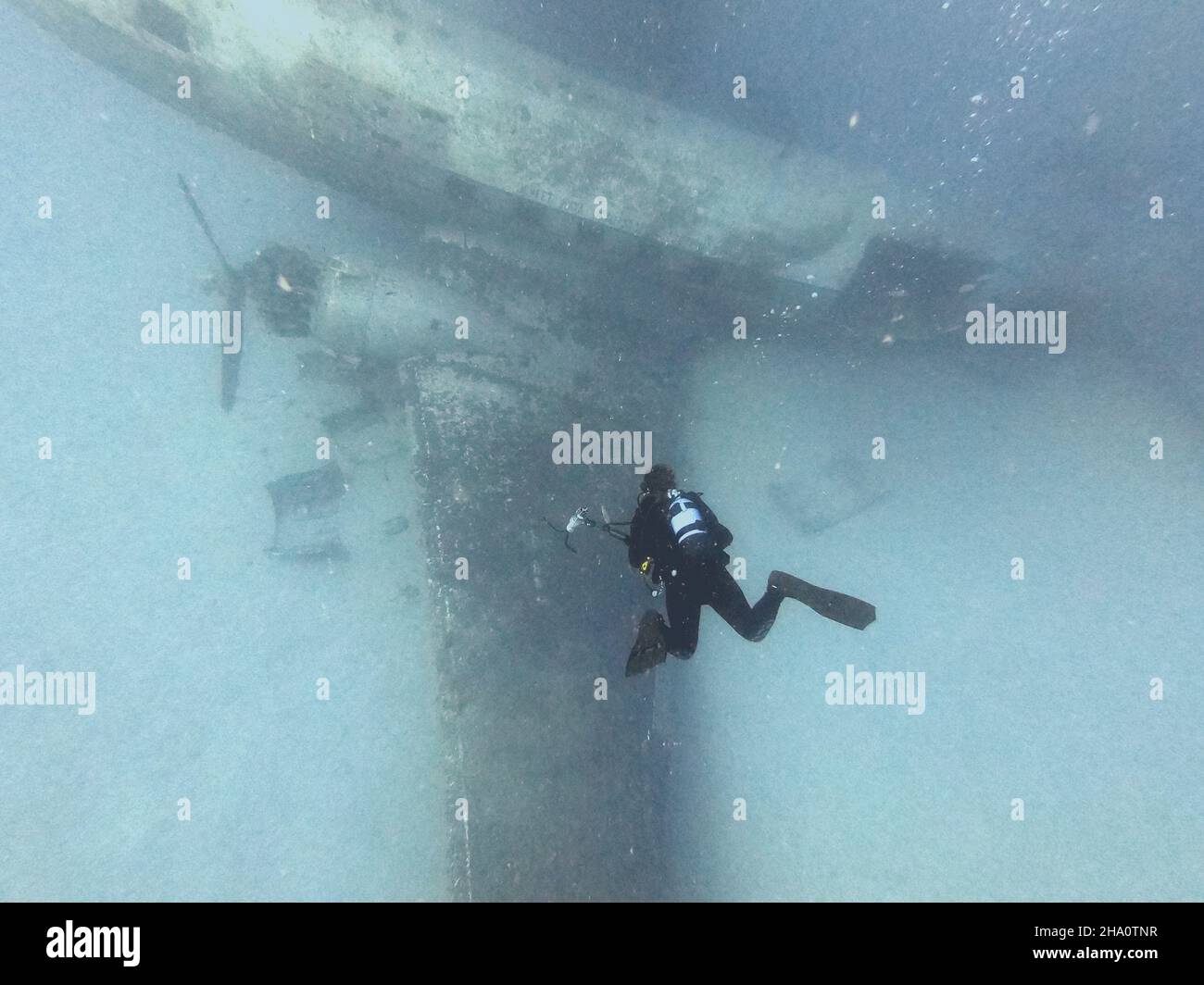 Taucher, der ein Schiffswrack fotografiert Stockfoto