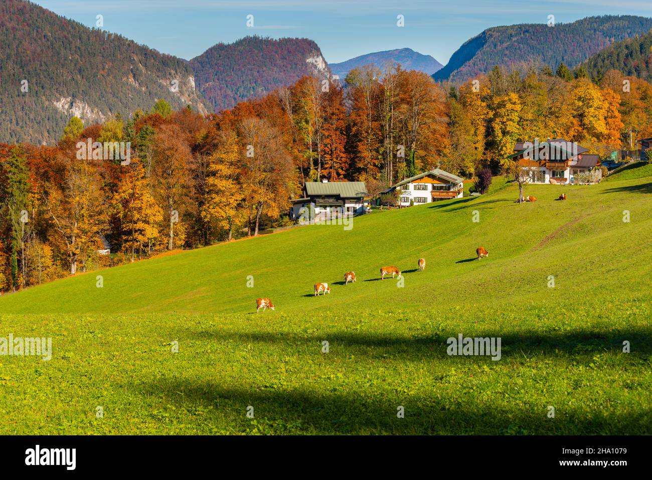 Obersalzbergbahn, Berchtesgaden, Oberbayern, Süddeutschland, Europerotbunte Stockfoto