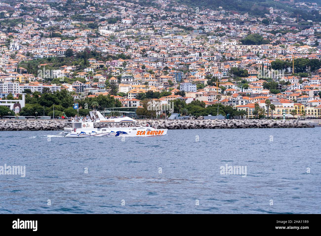 Funchal; Madeira; Portugal - 15. Juli; 2021: Touristen, die von einem großen Katamaran aus nach Delfinen und Walen suchen Stockfoto