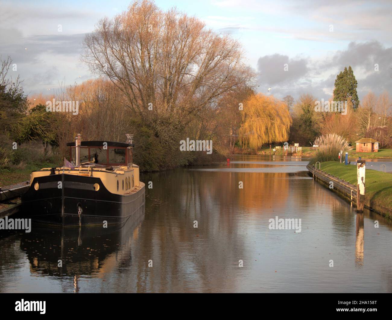 Ein Hausboot, das an der Benson Lock auf der Themse in Oxfordshire festgemacht ist, wobei sich die Wintersonne am Nachmittag auf dem umliegenden Baum spiegelt Stockfoto