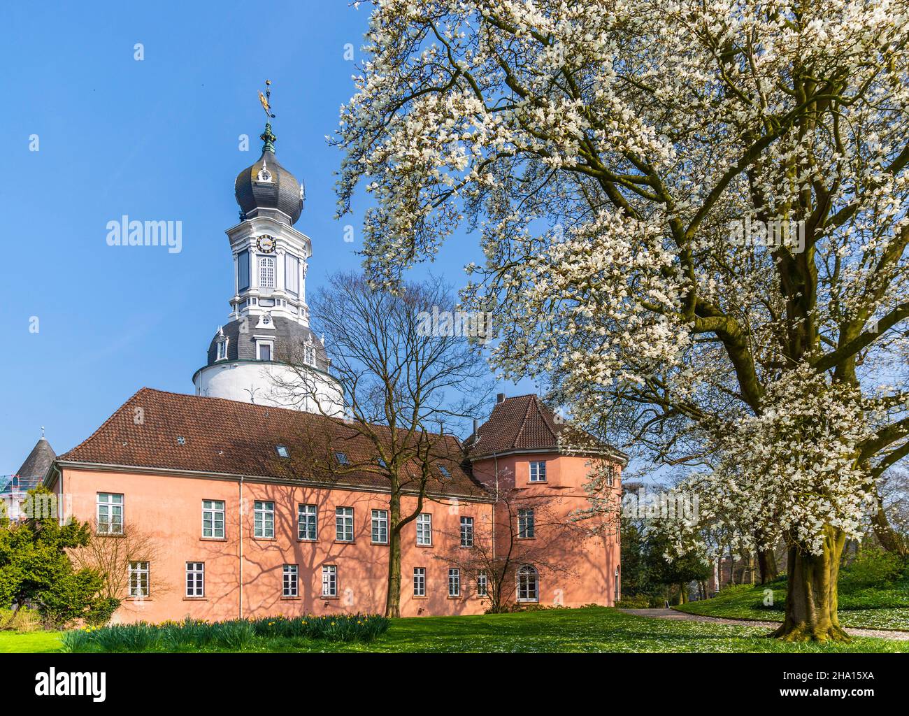 Schloss Jever Museum und Magnolie blühen im Frühling, Deutschland Stockfoto