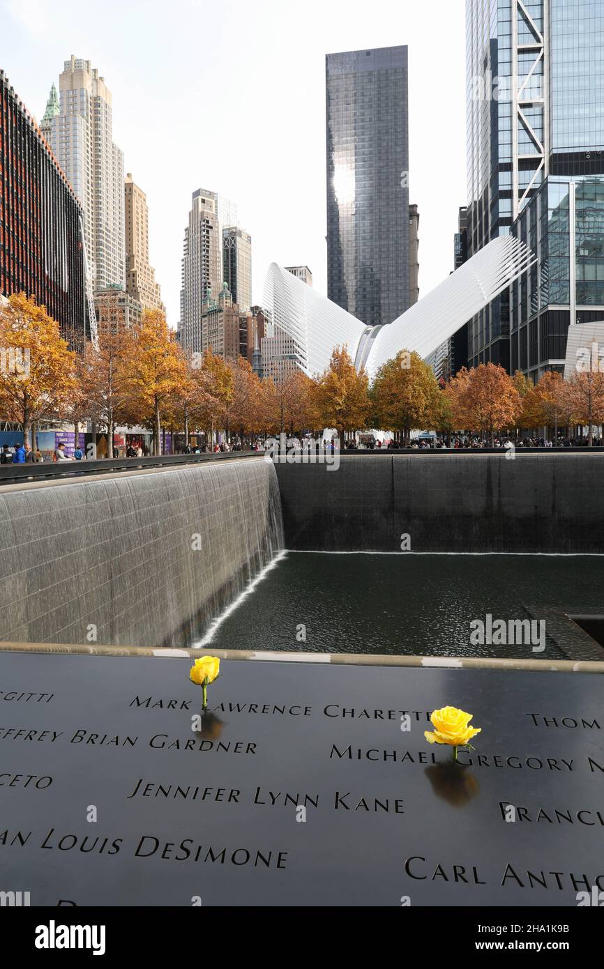 Gelbe Rose im World Trade Center Memorial Stockfoto