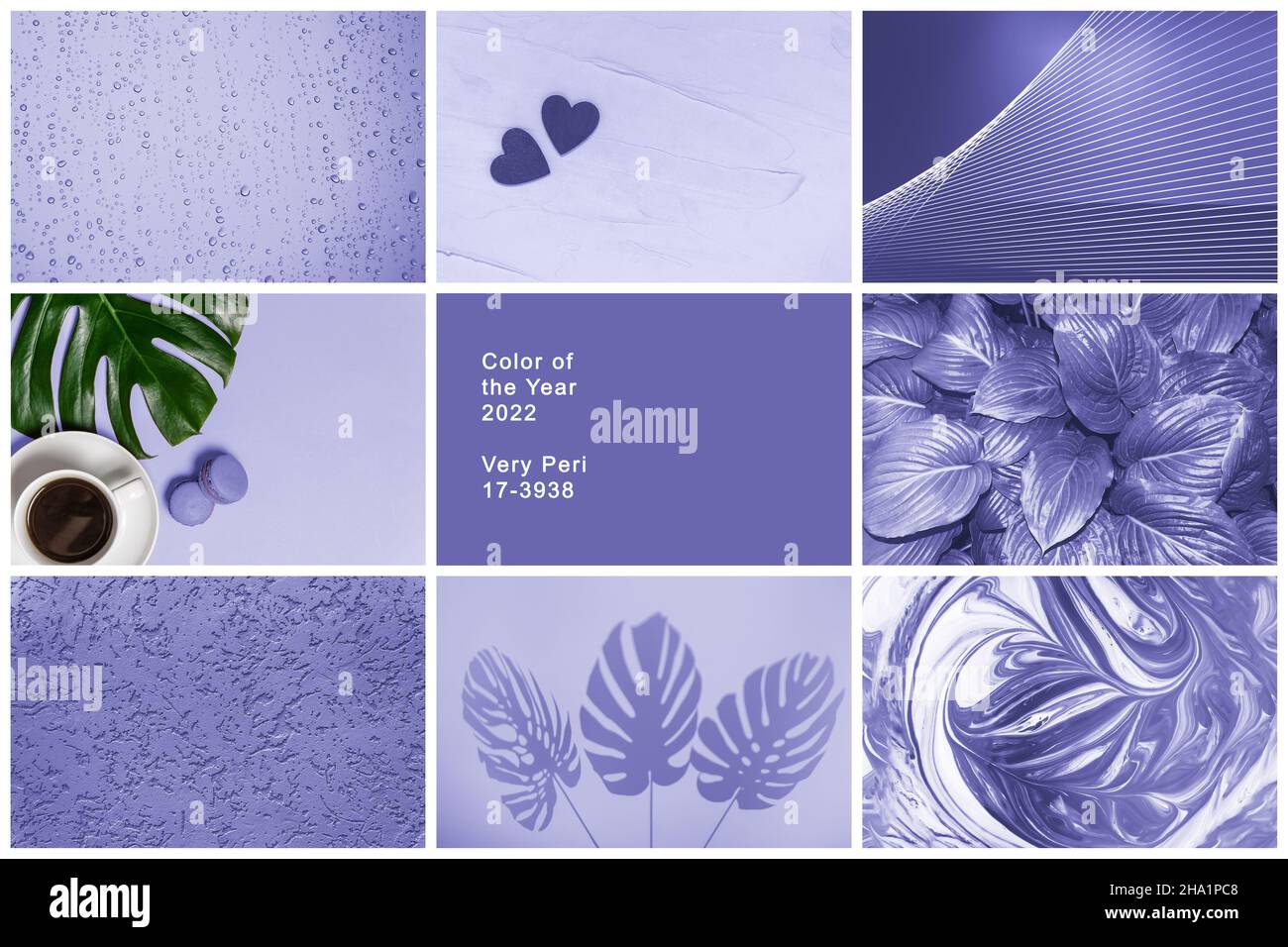 Collage aus floralen Hintergründen und Texturen getönt in trendigen sehr Peri Farbe des Jahres 2022. Set von lila oder violett lebendige Fotos von Kaffee, Blätter Stockfoto