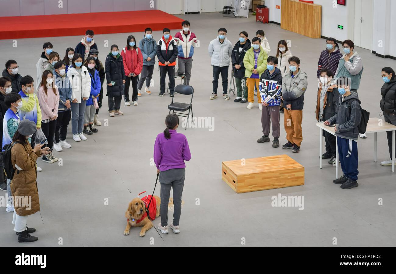 PEKING, CHINA - 1. DEZEMBER 2021 - Freiwillige nehmen an einer Hundeführerübung für die Olympischen Winterspiele in Peking, China, am 1. Dezember 2021 Teil. Stockfoto