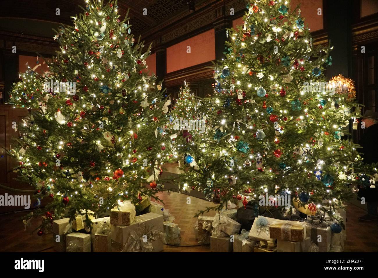 Schöner, hoher Weihnachtsbaum, der mit Bändern, Lichtern und Ornamenten geschmückt ist Stockfoto