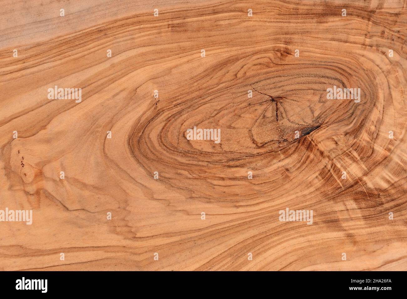 Holzbrett aus Olivenbaum mit Jahresringen Stockfoto