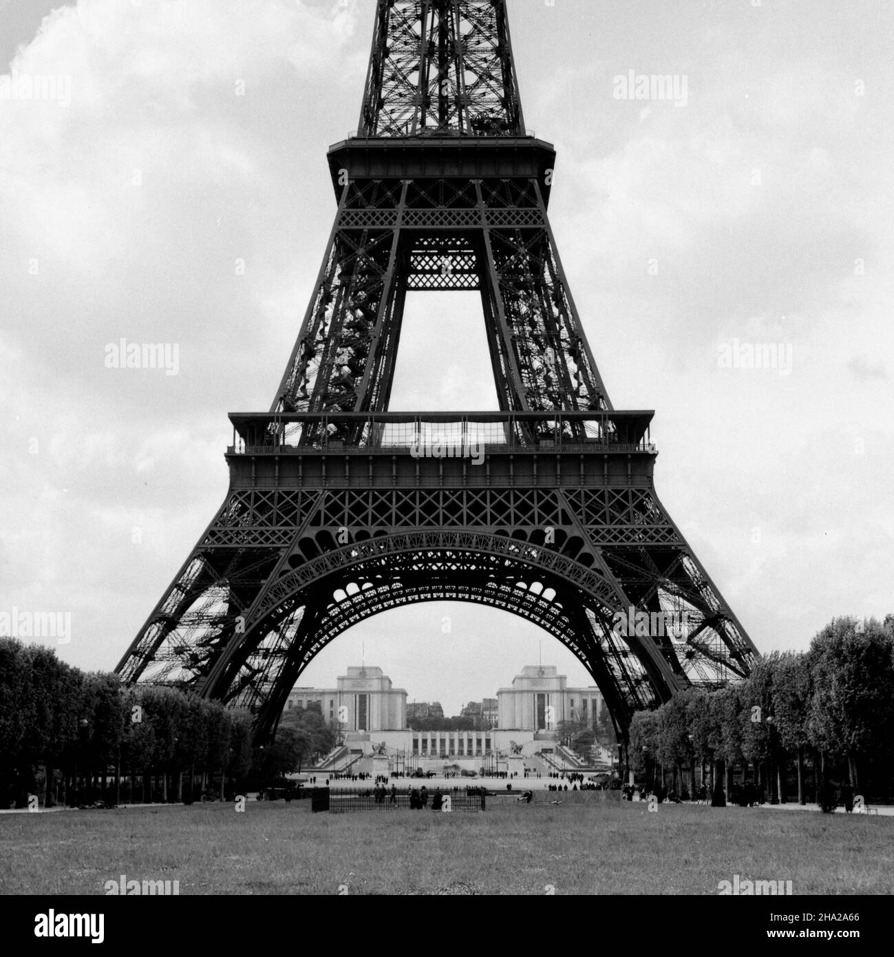 Blick auf den Fuß des Eiffelturms von den Champs de Mars. Die Kameraposition befindet sich im grasbewachsenen Park mit einer zentrierten Ansicht, die nordwestlich zum Turm und darüber hinaus blickt. Im Vordergrund ist dickes Gras, das nicht gemäht wurde. Parkbenutzer werden unter dem Turm und auf den Wegen auf beiden Seiten gesehen. Das Foto zeigt mit großer Detailgenauigkeit den Metallrahmen des Turms bis knapp hinter die zweite Ebene. Bäume in scheinbaren Vollfrühlingsblättern säumen beide Seiten des Fotos. Der Palais de Chaillot sowie die Gärten des Trocadero mit vielen Besuchern sind gut sichtbar. Stockfoto