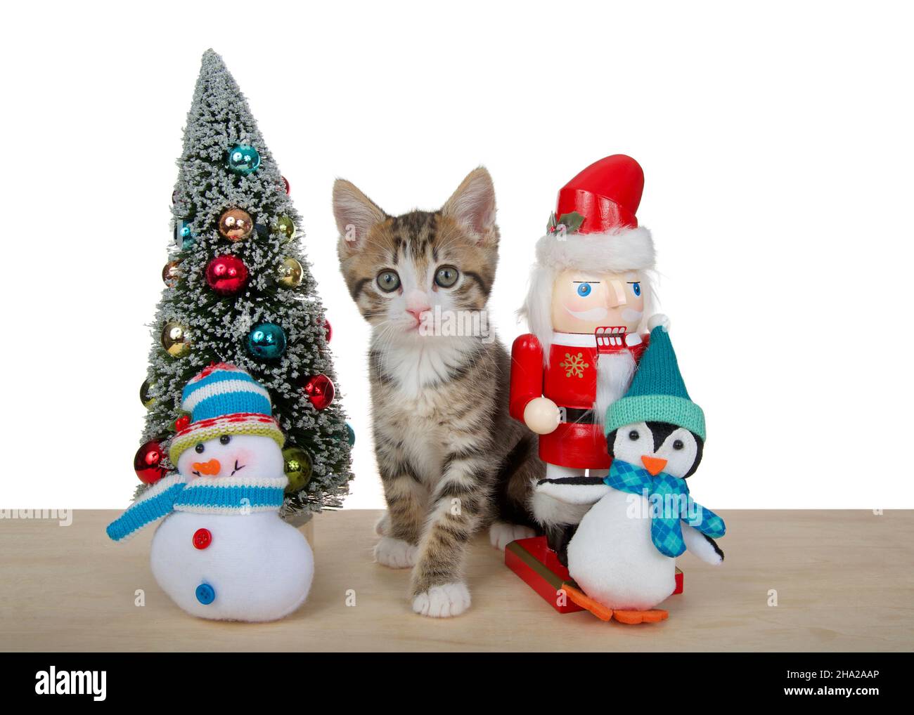 Bezauberndes grau und weiß gestreiftes tabby Kätzchen, das auf einem hellen Holzboden neben einem winzigen Weihnachtsbaum sitzt, einem winzigen gefüllten Schneemann und einem Pinguin. Looking dir Stockfoto