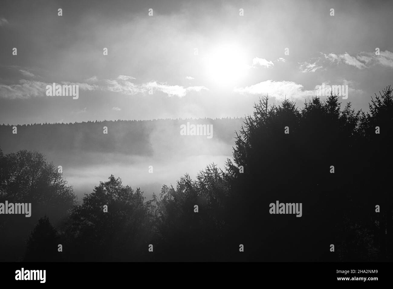 sonnenaufgang mit Nebel in den frühen Morgenstunden. Mystische Atmosphäre Stockfoto