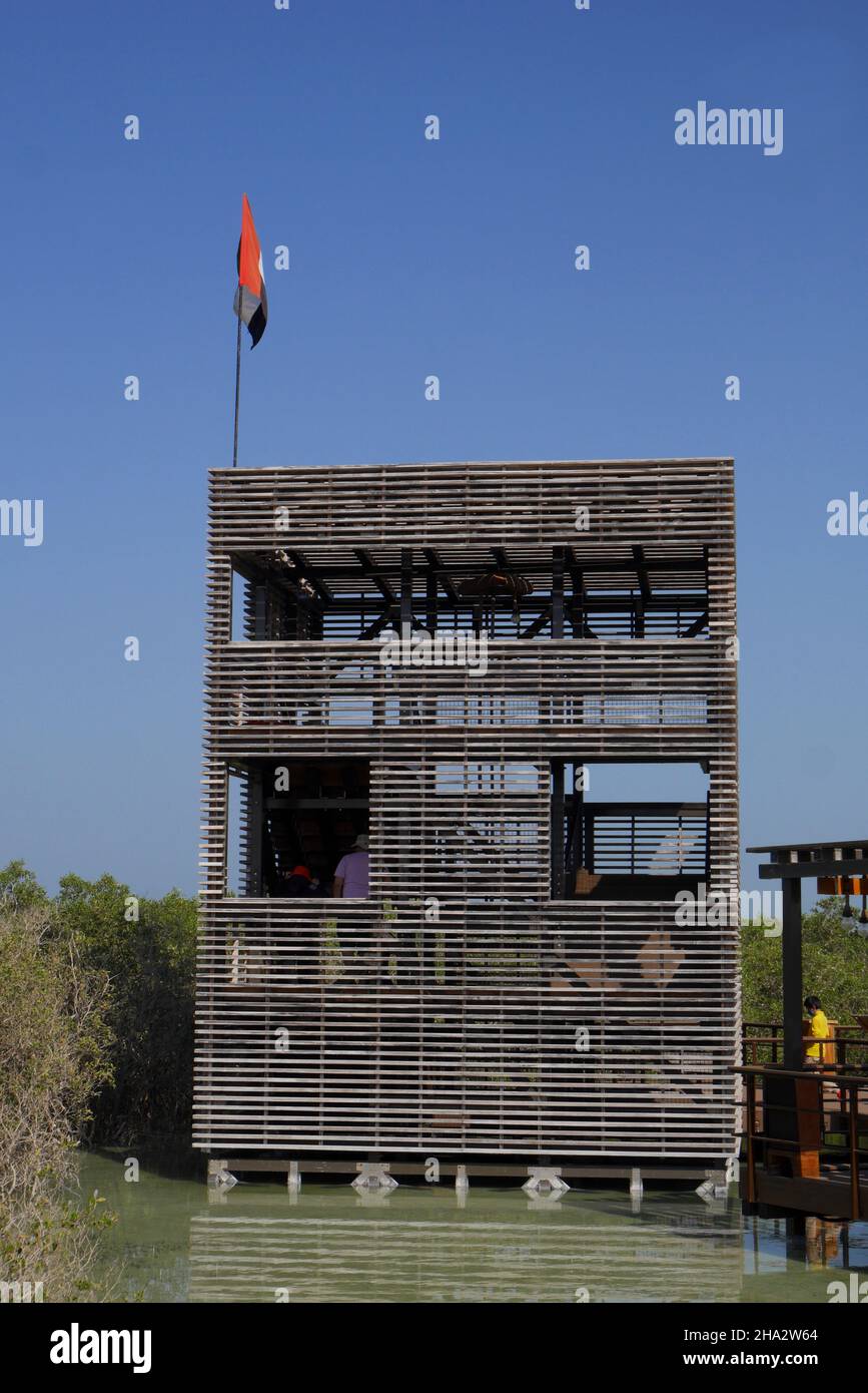 Aussichtsplattform im Jubail Mangrove Park mit grauen Mangroven, avicennia Marina, Abu Dhabi, Vereinigte Arabische Emirate Stockfoto
