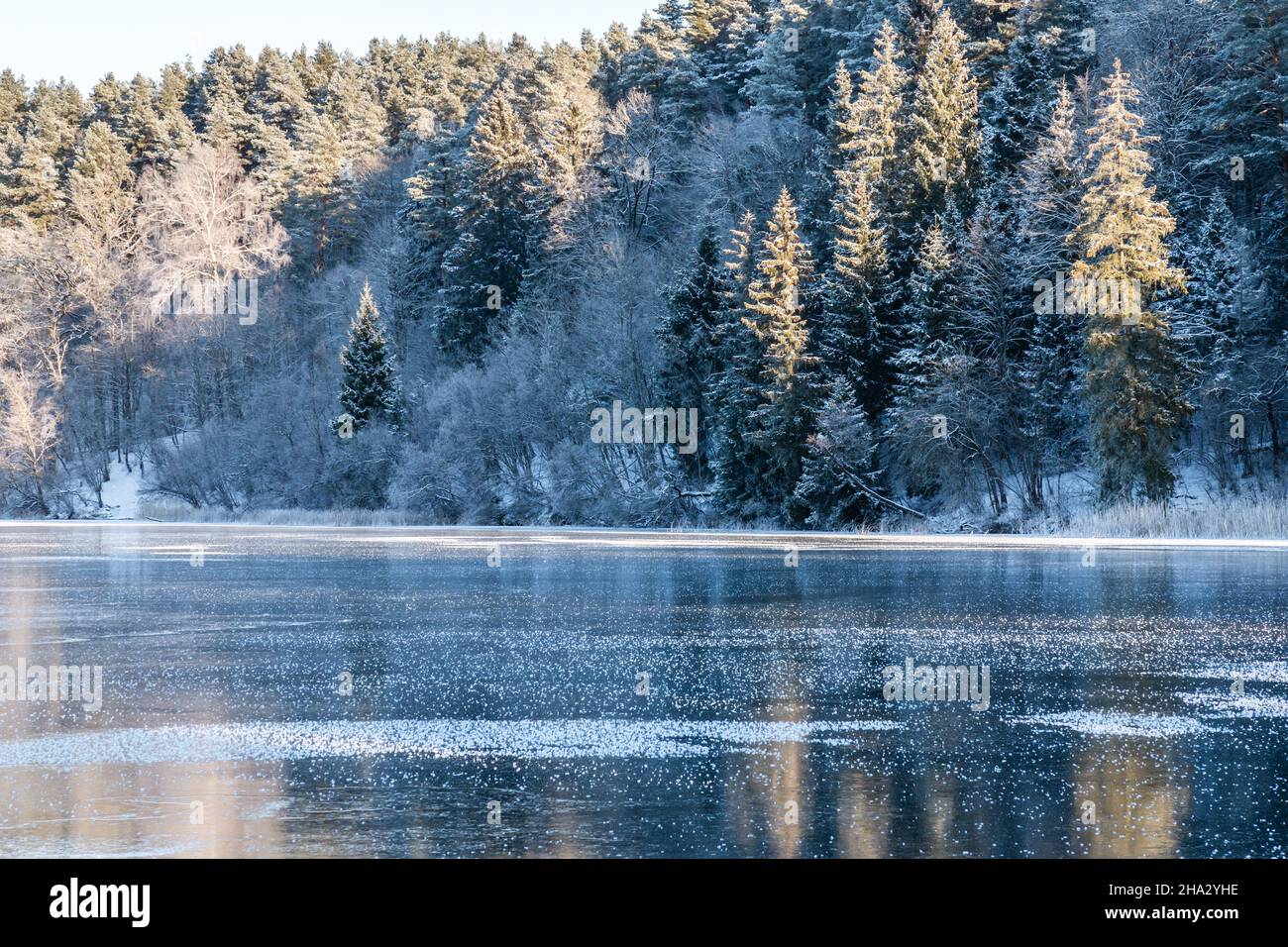 Ein Blick auf Milchbäume in der Nähe eines gerade gefrorenen Sees an einem sonnigen Wintertag Stockfoto
