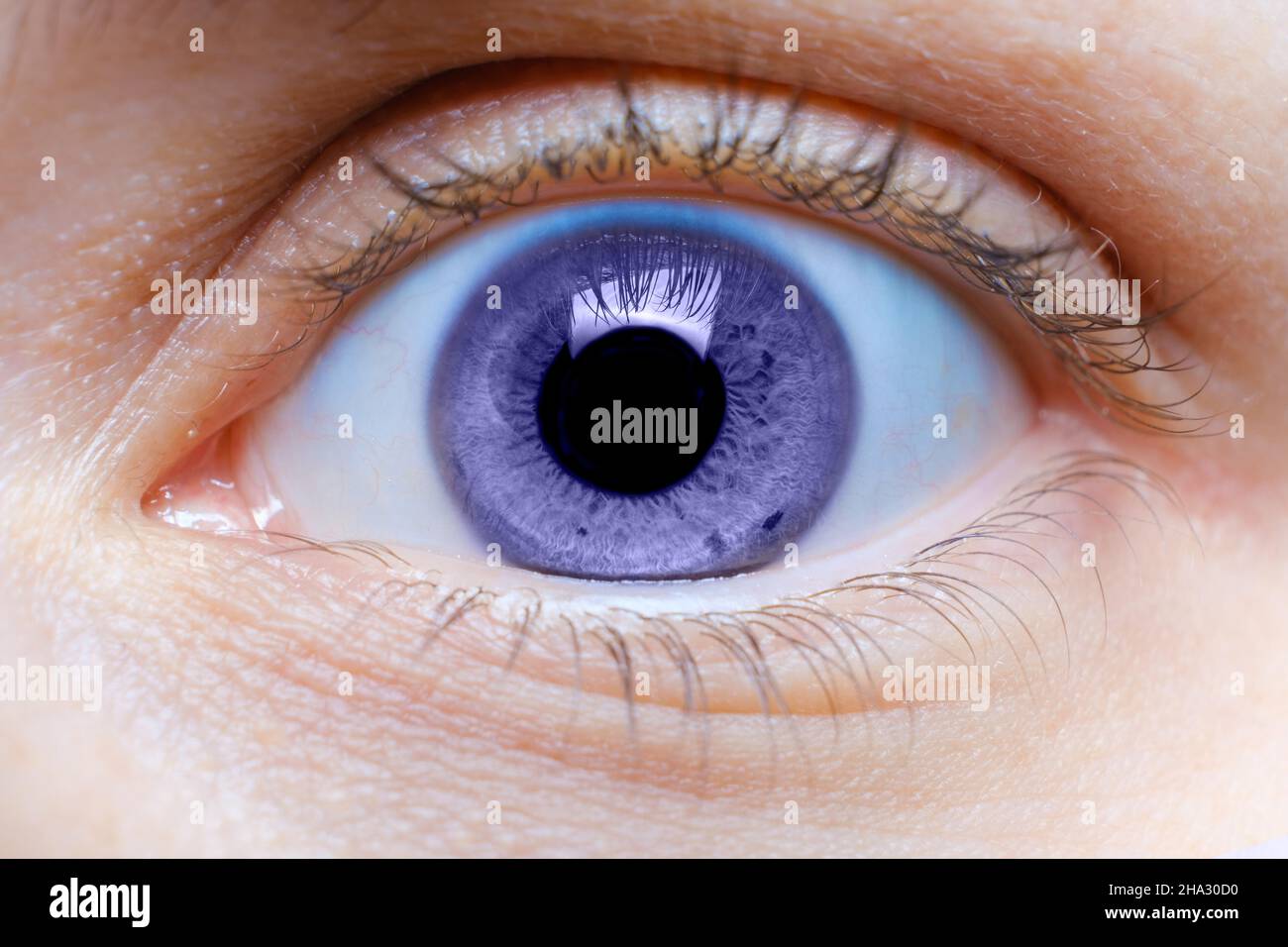 Menschliches Auge in lila, Farbkonzept des Jahres 2022 sehr Peri  Stockfotografie - Alamy