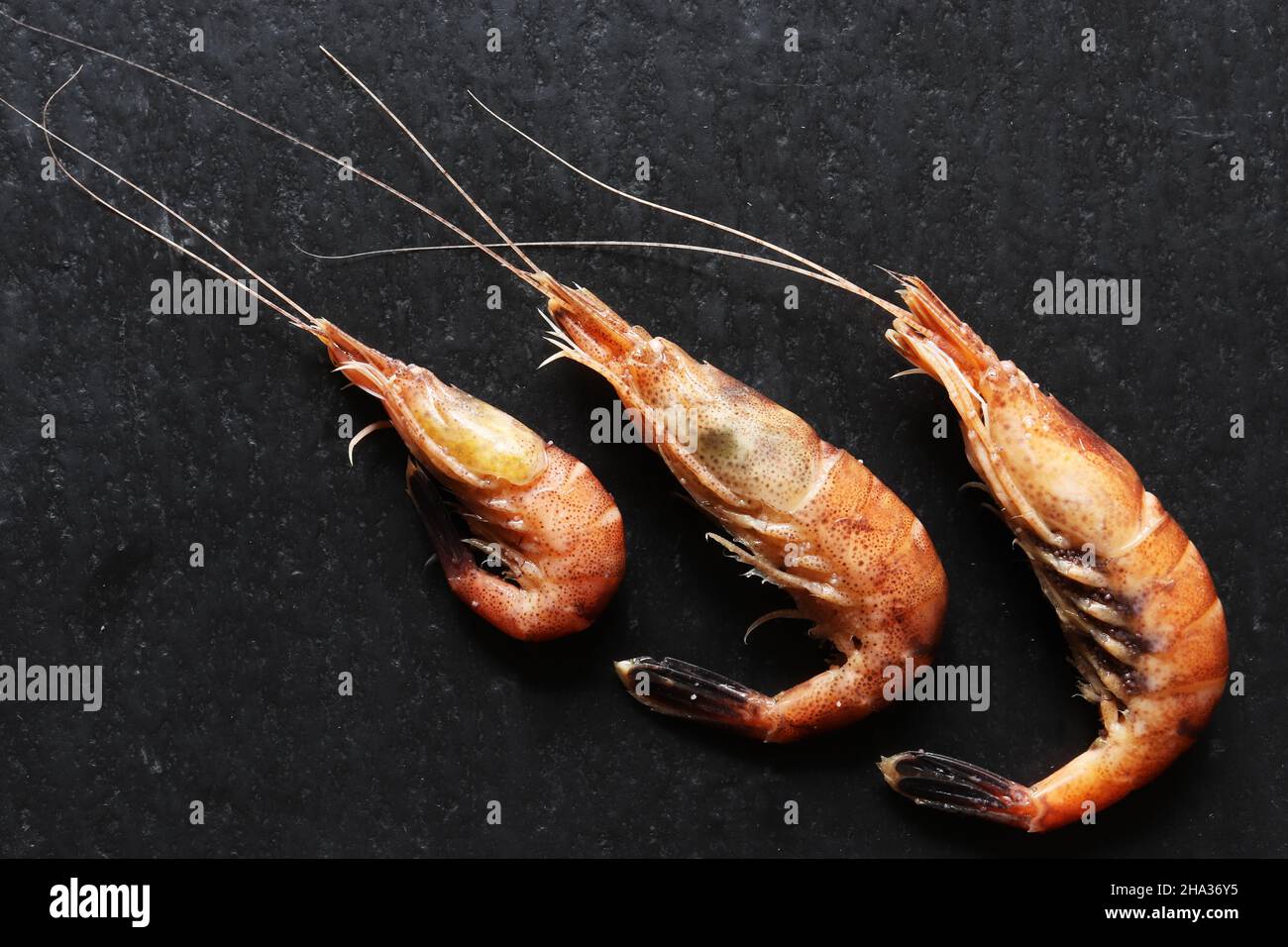 Draufsicht auf drei gekochte Garnelen auf dem Schiefer Stockfoto