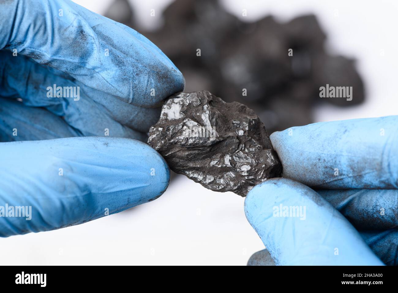 Hände in Handschuhen halten Klumpen schwarzer Kohle im Labor. Forschungskonzept für fossile Brennstoffe. Stockfoto