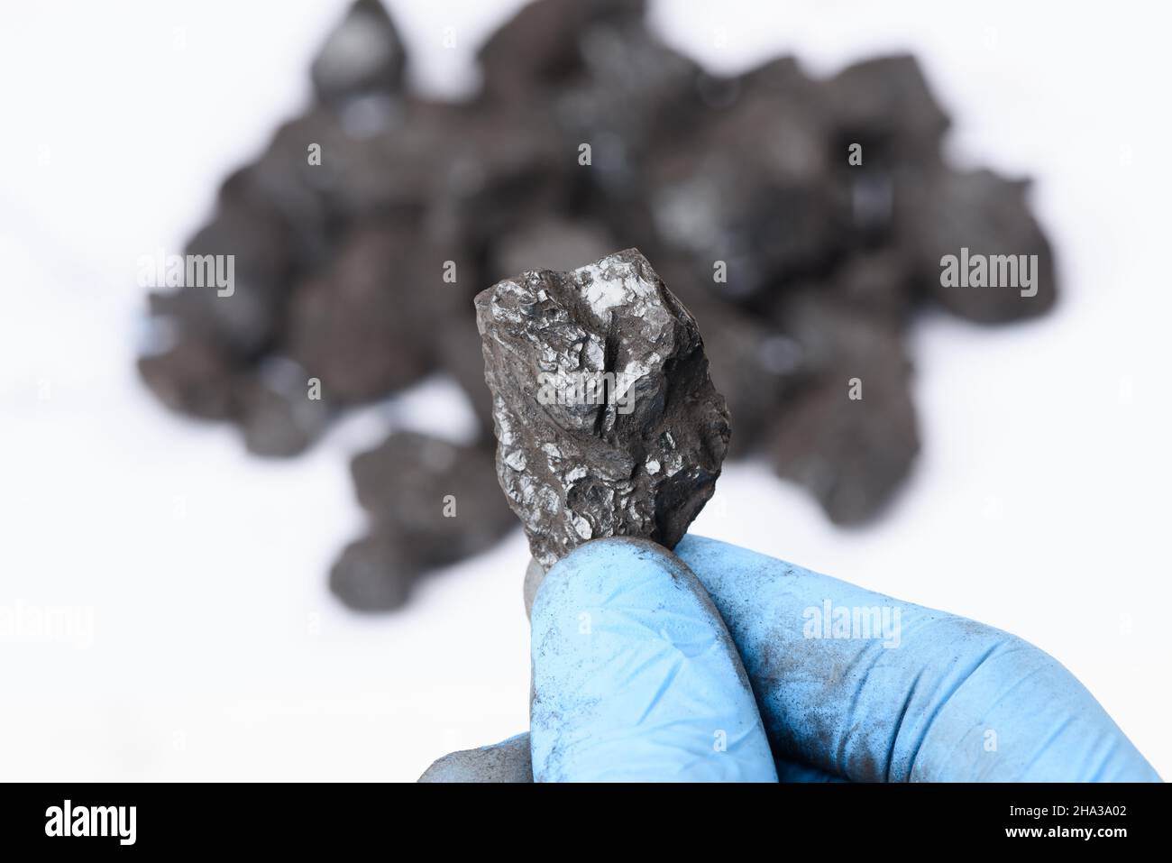 Kohleklumpen in der Hand des Wissenschaftlers. Laborkohlenanalyse, fossile Brennstoffe Forschung. Stockfoto