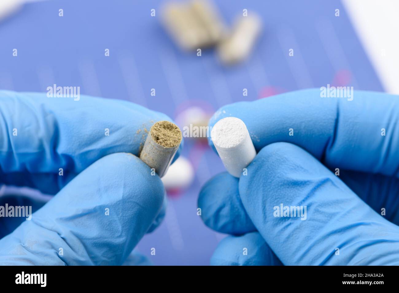 Wissenschaftler vergleichen den Gehalt von zwei transparenten Kapseln. Stockfoto