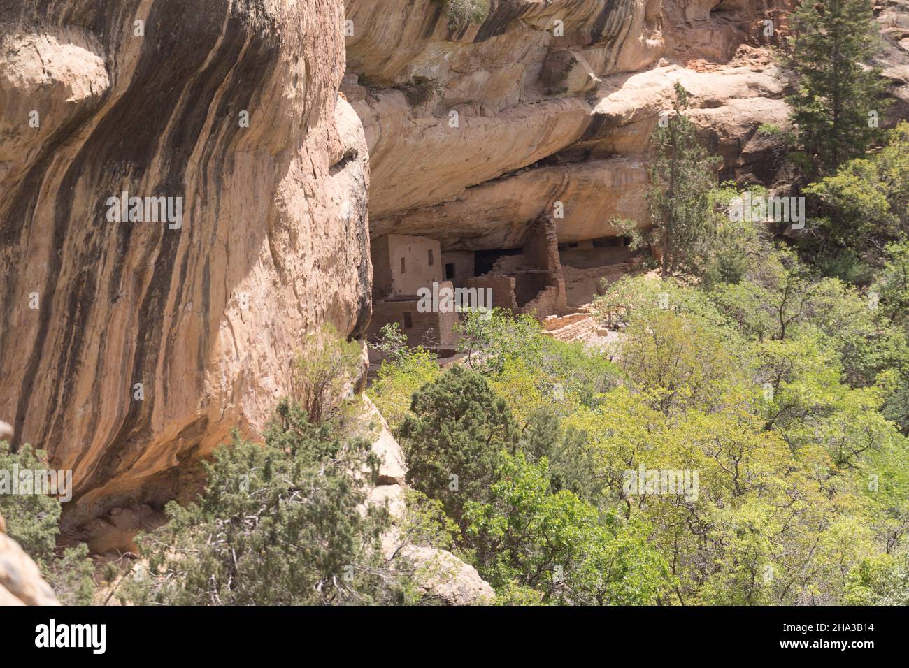 Colorado, Mesa Verde National Park Klippenwohnungen : Fichte Baumhaus Stockfoto