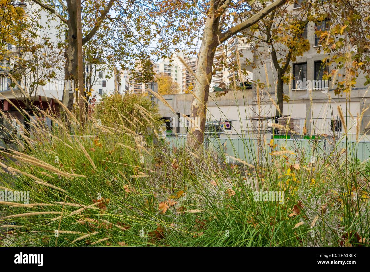 Paris, Frankreich - November 14th 2021: Wildnis in einer städtischen Straße in der Gemeinde Lilas. Stockfoto