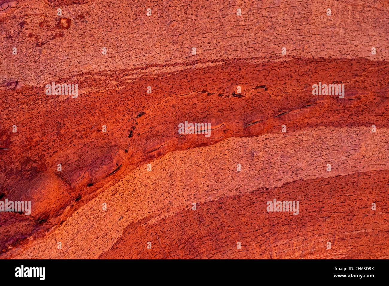 Eichenrinde Hintergrund, Kork in orange Farbe Stockfoto