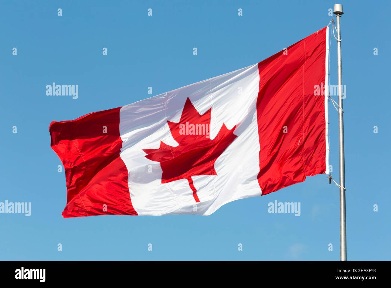 Die kanadische Flagge fliegt von einem Aluminium-Fahnenmast in Nova Scotia, Kanada. Die rot-weiße Flagge trägt ein Ahornleademblem. Stockfoto