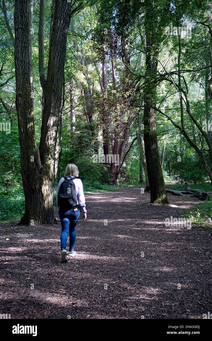 Eine Frau, die auf dem Waldweg dunwich suffolk england spazierengeht Stockfoto