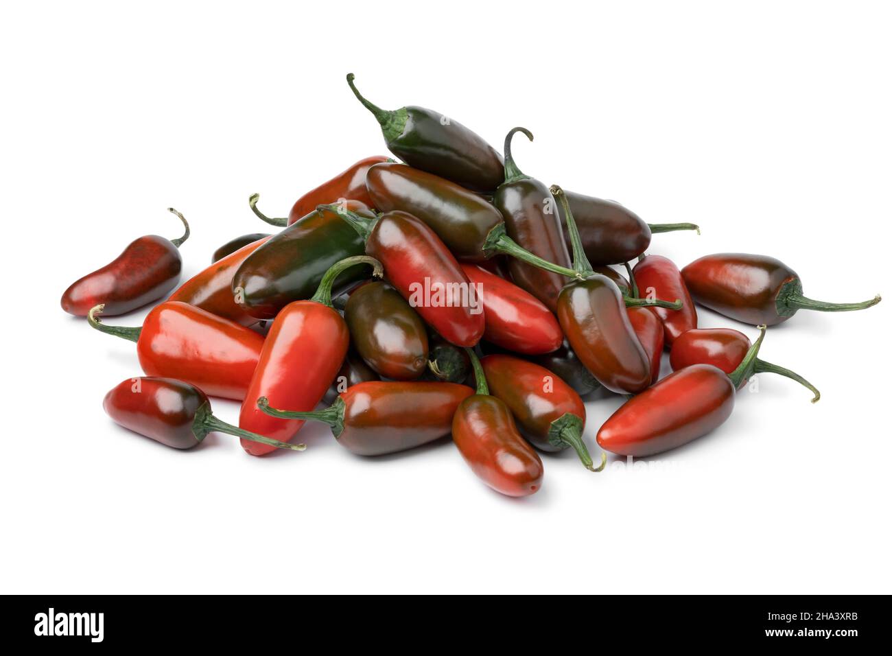 Haufen von frischen roten und grünen, reifen und unreifen Jalapeno-Paprika aus nächster Nähe Stockfoto