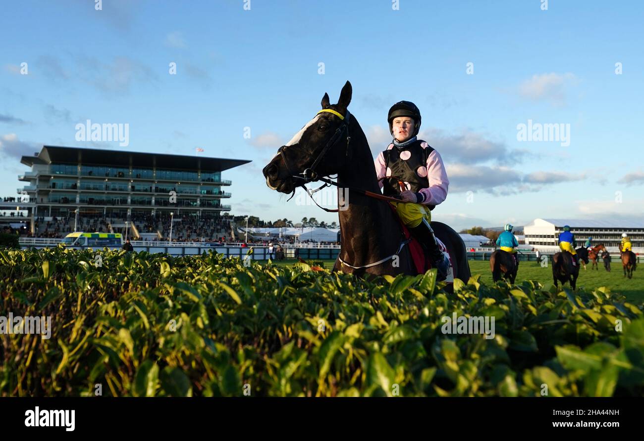 Herr Diablo und L P Dempsey inspizieren den ersten Zaun vor der Glenfarcras Crystal Cup Cross Country Handicap Chase am ersten Tag des Internationalen Treffens auf der Pferderennbahn Cheltenham. Bilddatum: Freitag, 10. Dezember 2021. Stockfoto