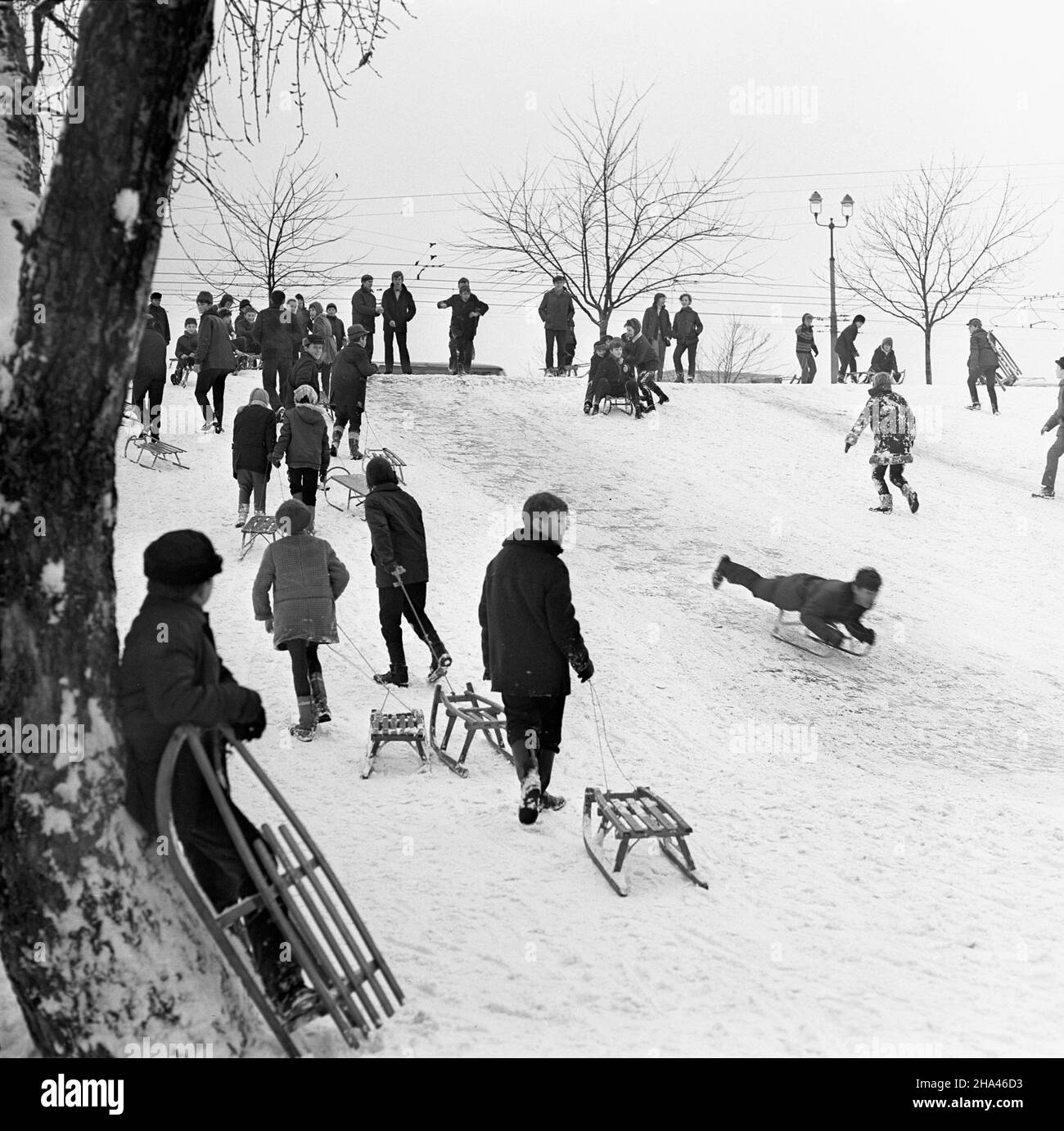 Warszawa, 1969-12. W grudniu spad³o bardzo du¿o œniegu. Warszawiacy wykorzystywali tê okazjê do zabaw na œwie¿ym powietrzu. NZ. Saneczkarze na skarpie przy ul. Sto³ecznej. pw PAP/Stanis³aw D¹browiecki Dok³adny dzieñ wydarzenia nieustalony. Warschau, Dezember 1969. Die Einwohner von Warschau nutzten den reichlich vorhandenen Schneefall. Im Bild: Schlitteln auf einem Hang in der Stoleczna Straße. pw PAP/Henryk Rasiak Stockfoto