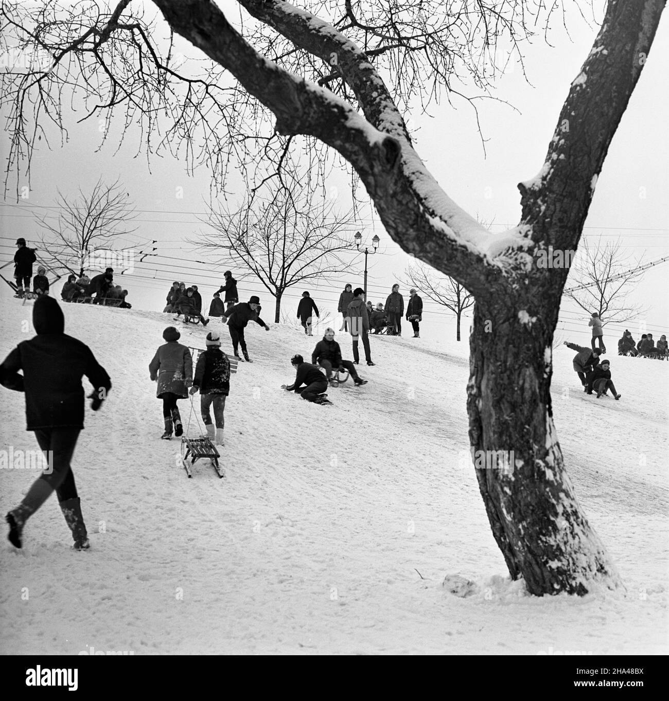 Warszawa, 1969-12. W grudniu spad³o bardzo du¿o œniegu. Warszawiacy wykorzystywali tê okazjê do zabaw na œwie¿ym powietrzu. NZ. Saneczkarze na skarpie przy ul. Sto³ecznej. pw PAP/Stanis³aw D¹browiecki Dok³adny dzieñ wydarzenia nieustalony. Warschau, Dezember 1969. Die Einwohner von Warschau nutzten den reichlich vorhandenen Schneefall. Im Bild: Schlitteln auf einem Hang in der Stoleczna Straße. pw PAP/Henryk Rasiak Stockfoto