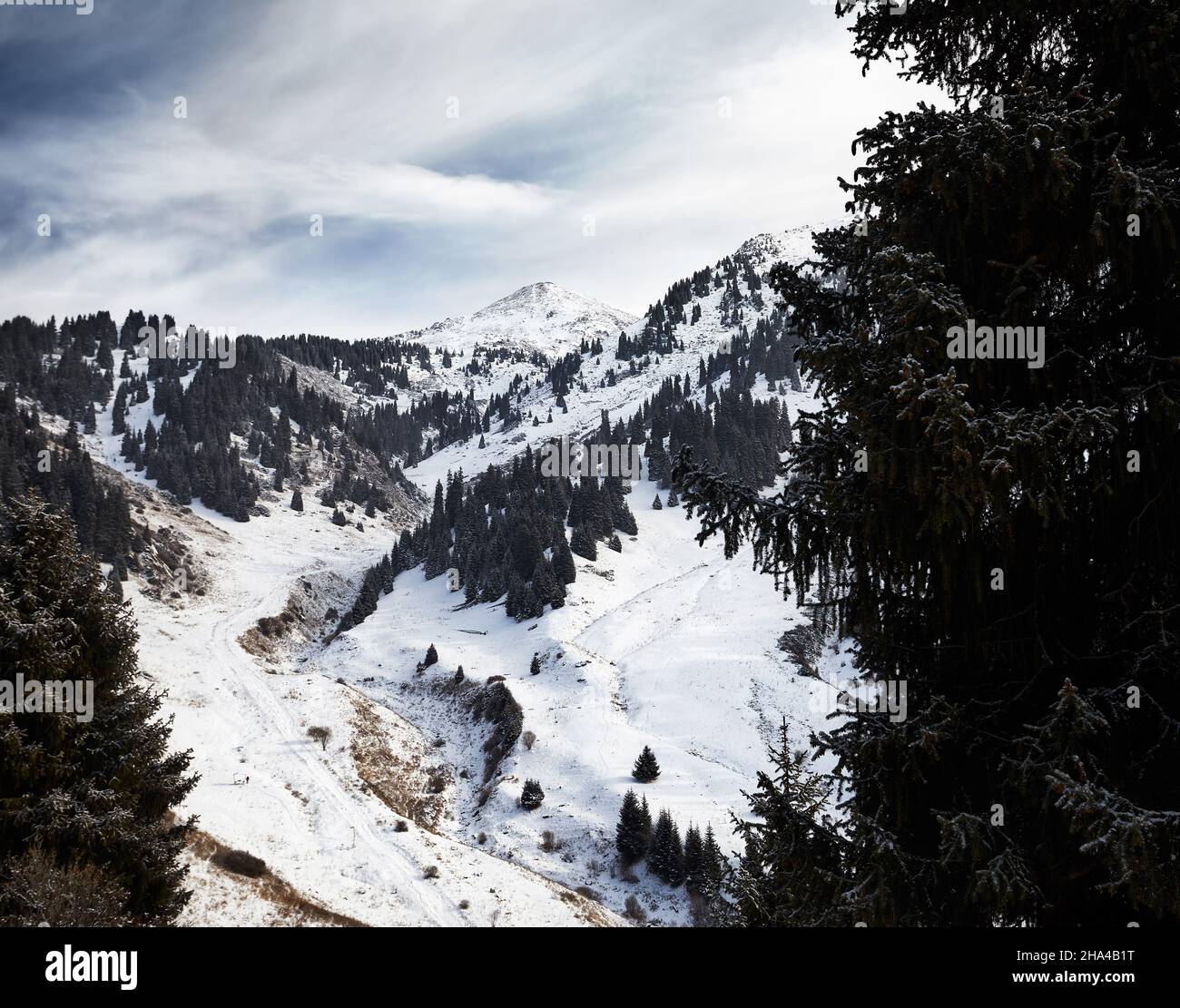 Wunderschöne Winterlandschaft des verschneiten Berges Furmanovka auf der Zaili Alatay Range in Almaty mit Fichtenwald gegen den bewölkten Himmel in Kasachstan Stockfoto
