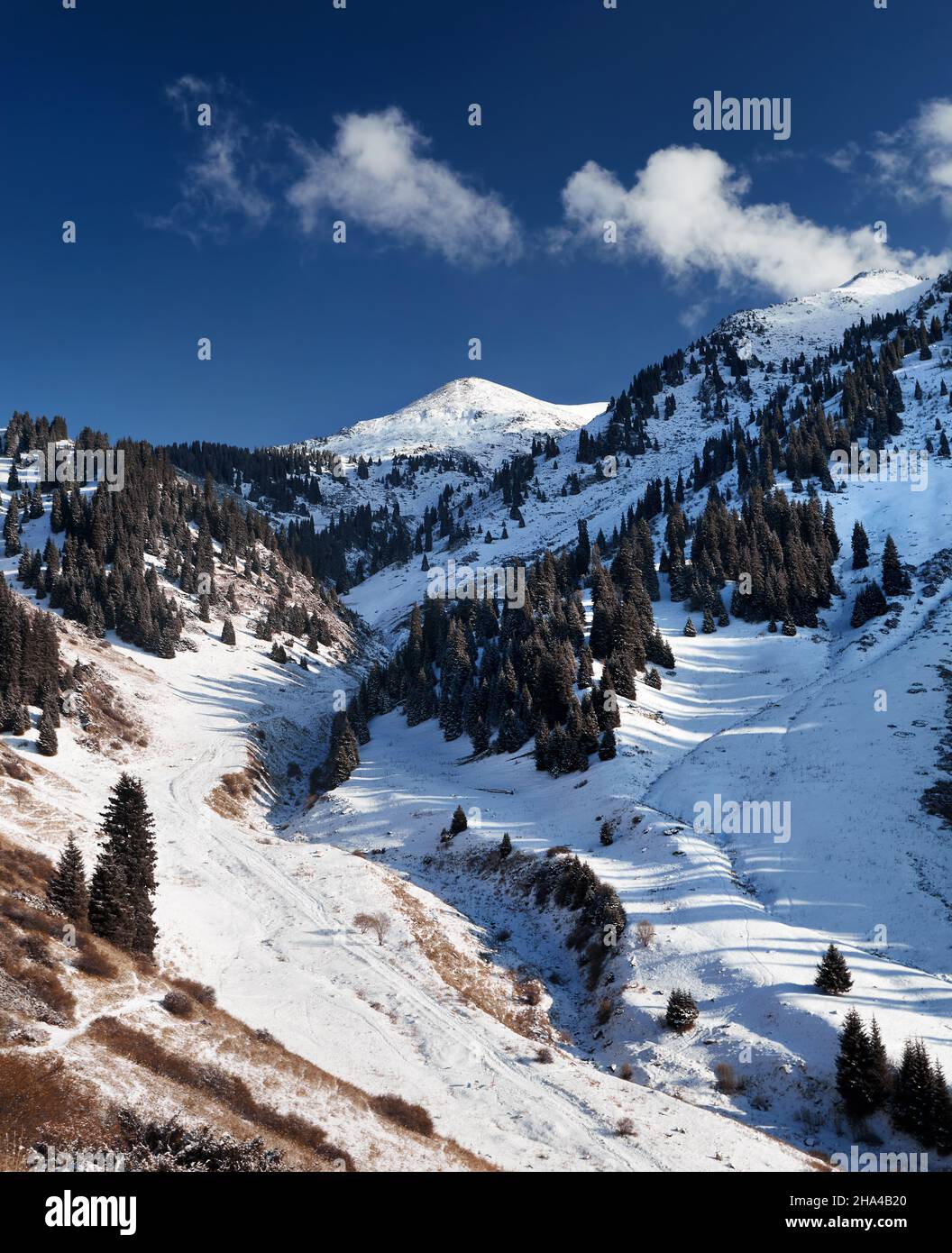 Wunderschöne Winterlandschaft des verschneiten Berges Furmanovka auf der Zaili Alatay Range in Almaty mit Fichtenwald gegen den blau bewölkten Himmel in Kasachstan Stockfoto