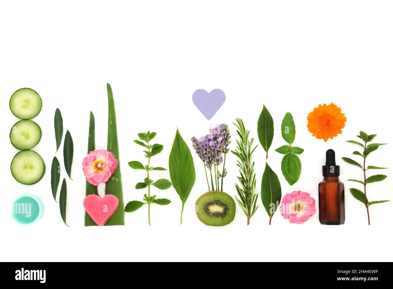 Vegane Aromatherapie ätherisches Öl Zutaten mit Kräutern, Blumen, Gemüse und Obst. Wird für die Vorbereitung von Anti-Aging-Hautpflegebehandlungen verwendet Stockfoto