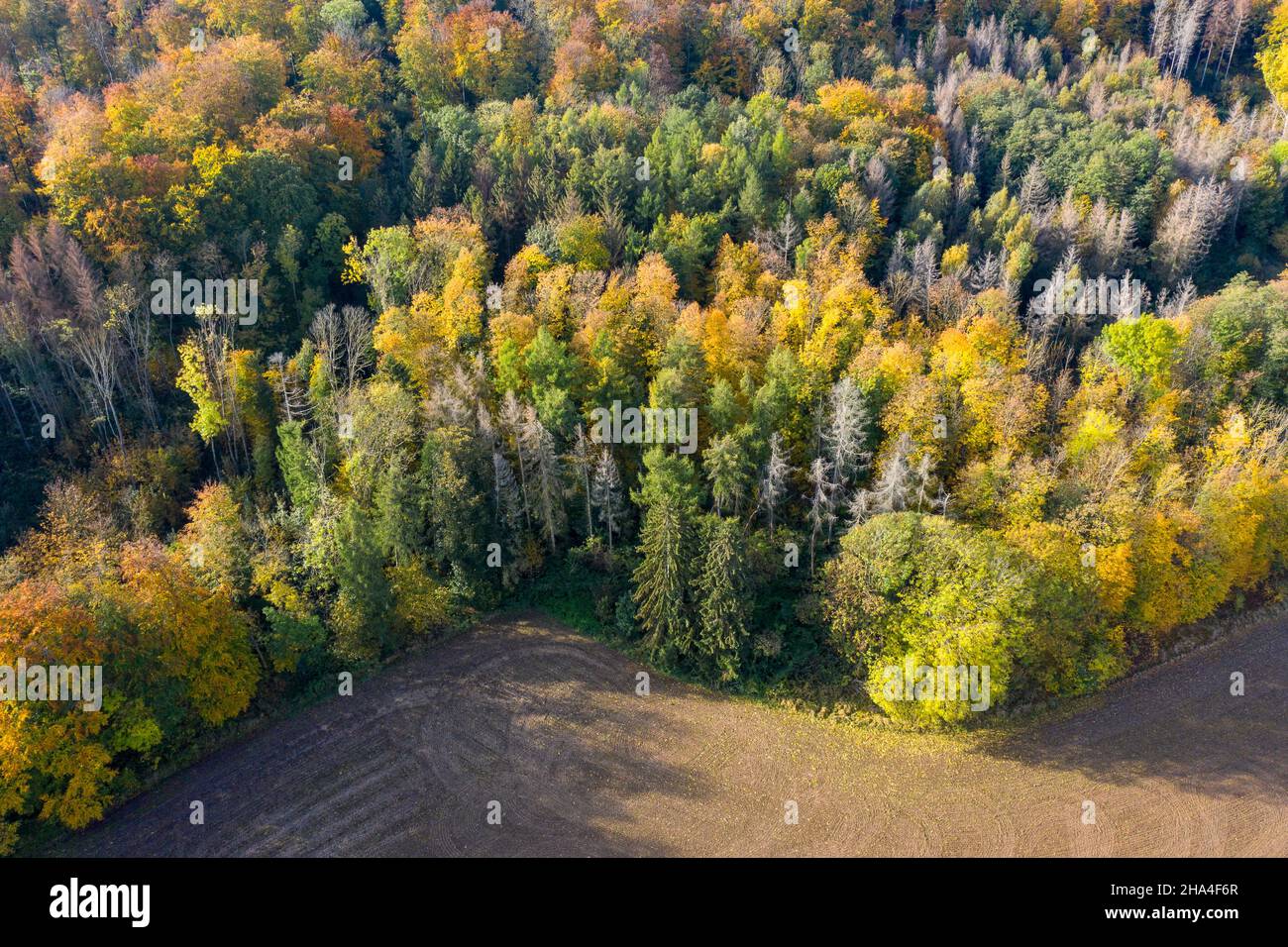 deutschland, niedersachsen, die Esse bei mönchevahlberg, Luftaufnahme Stockfoto