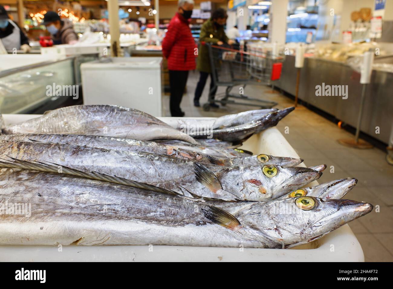 Gefrorene rohe Haarschwänze, auch bekannt als Gürtellerfische, werden in der Meeresfrüchteabteilung verkauft. Lotte Plaza Market ein asiatischer koreanischer Supermarkt.Edison.New Jersey.USA Stockfoto