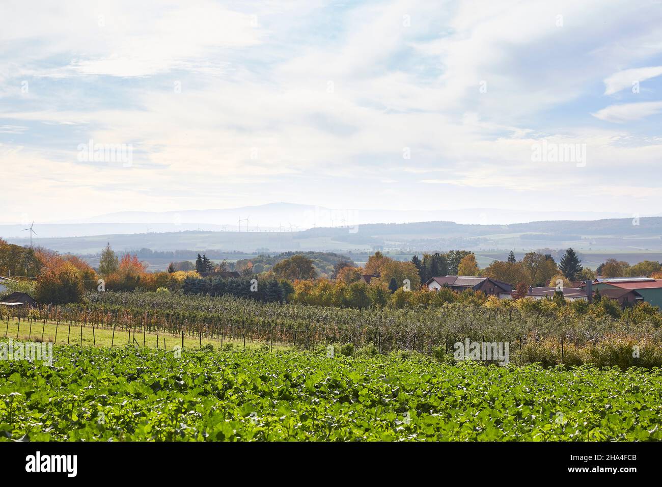 deutschland,niedersachsen,Landschaft bei Evessen,Blick auf den brocken im harz Stockfoto