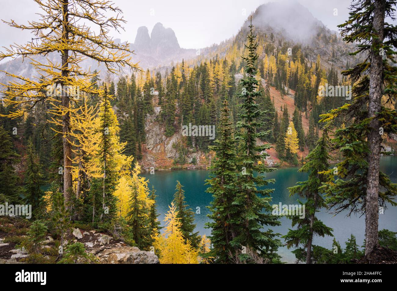 Goldene Lärchen im Herbst an einem Alpensee Stockfoto