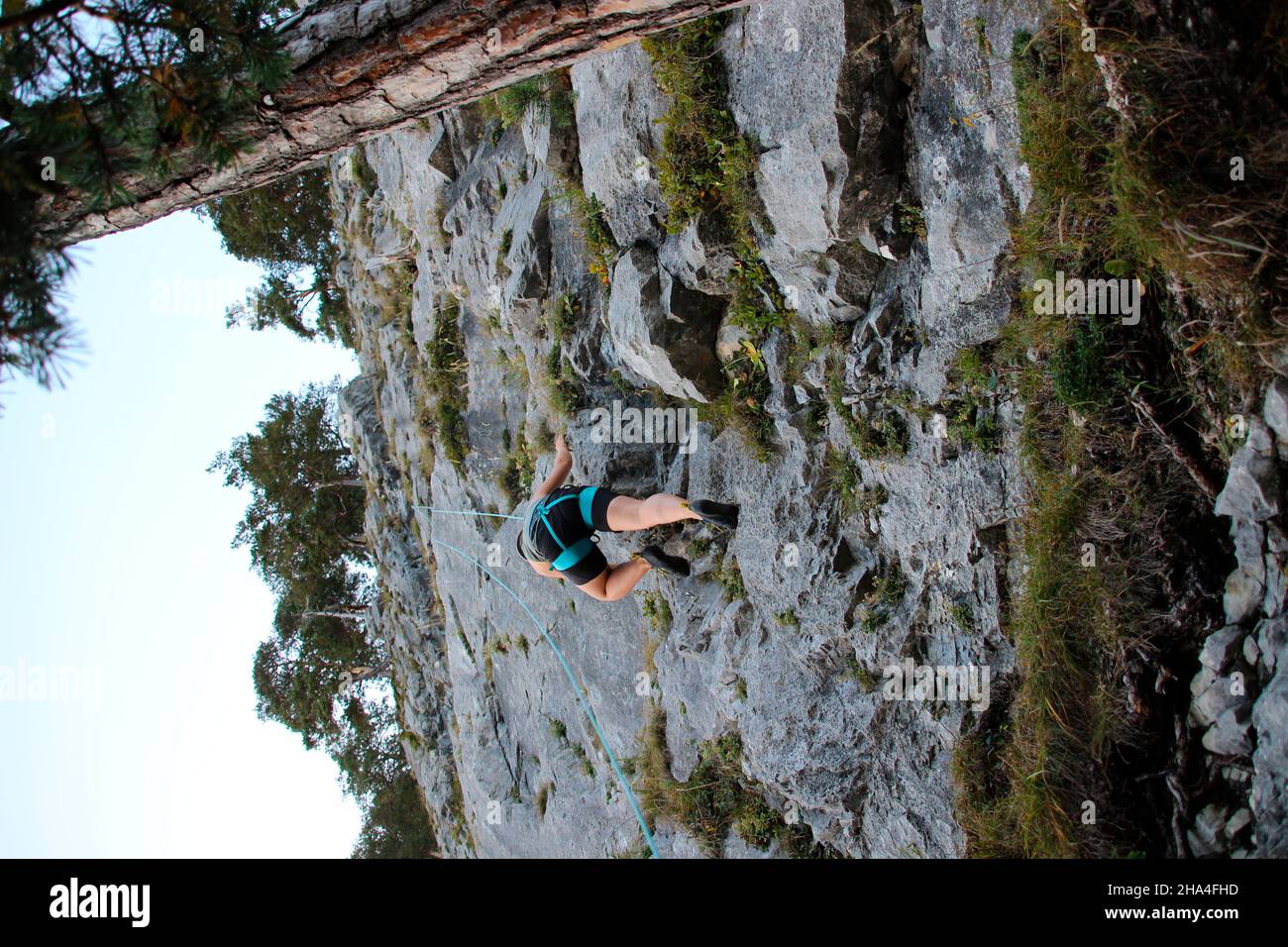 Junge Frau klettert im Klettergarten 'Sonnenplatten scharnitz' karwendelgebirge,scharnitz,tirol,österreich Stockfoto