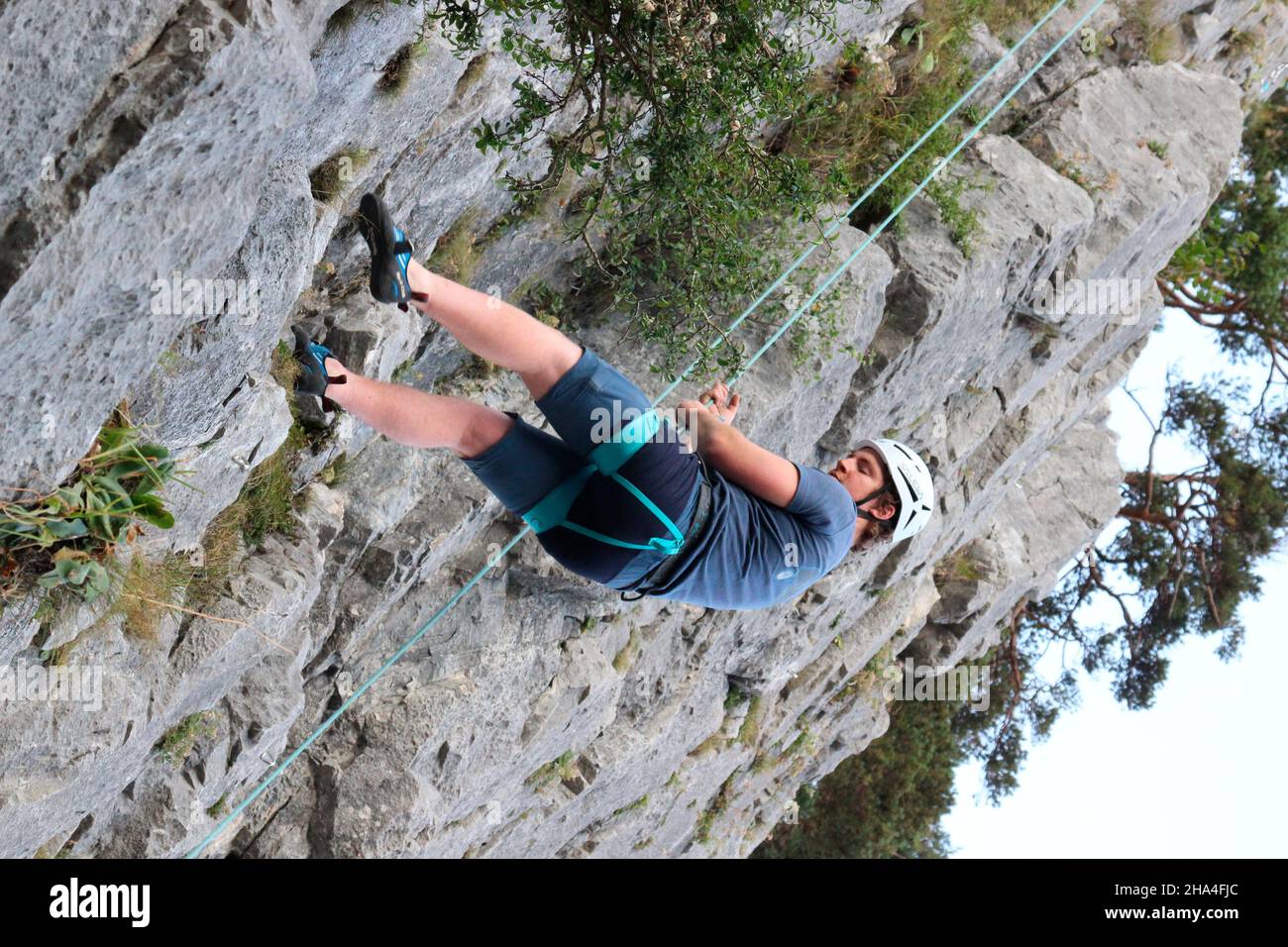 Junger Mann beim Klettern im Klettergarten 'Sonnenplatten scharnitz' karwendelgebirge,scharnitz,tirol,österreich Stockfoto