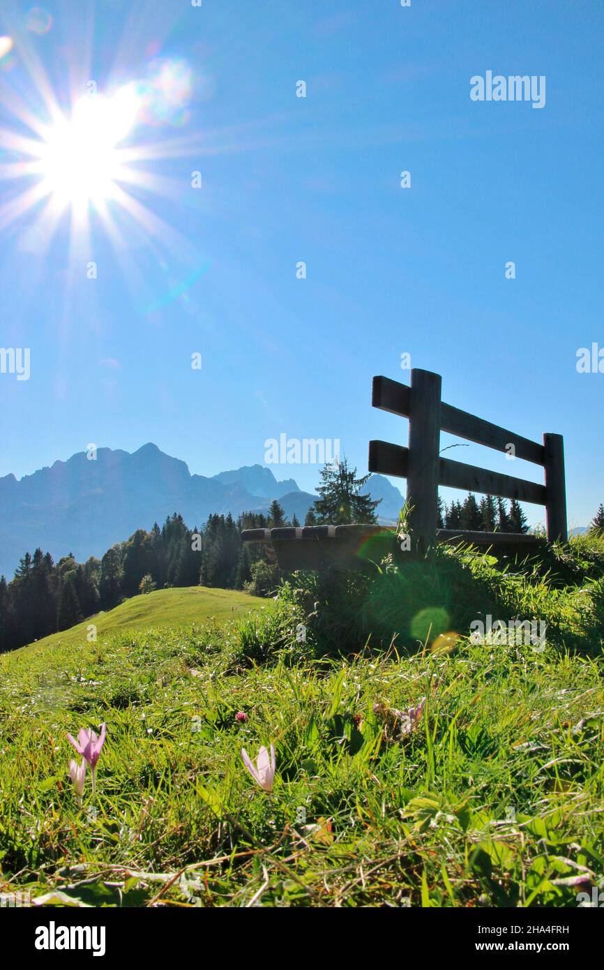 Bank am eckbauer vor dem wettersteinmassiv, mit wunderbarem blauen Himmel, Herbst im werdenfelser Land, europa, deutschland, bayern, oberbayern, garmisch partenkirchen, Traumwetter Stockfoto