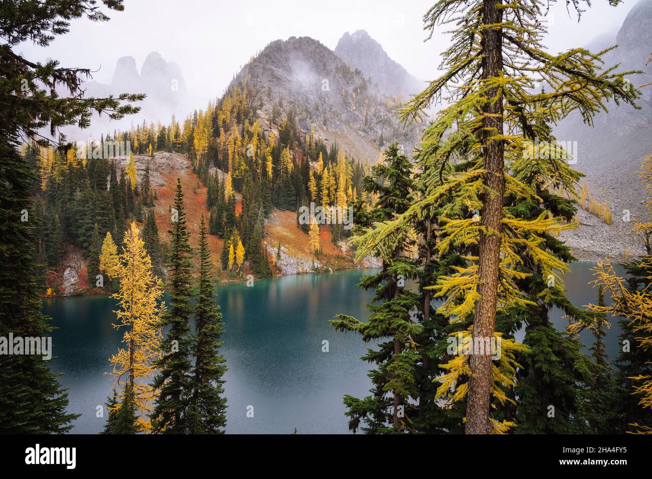 Goldene Lärchen umgeben einen wunderschönen blauen Alpensee Stockfoto