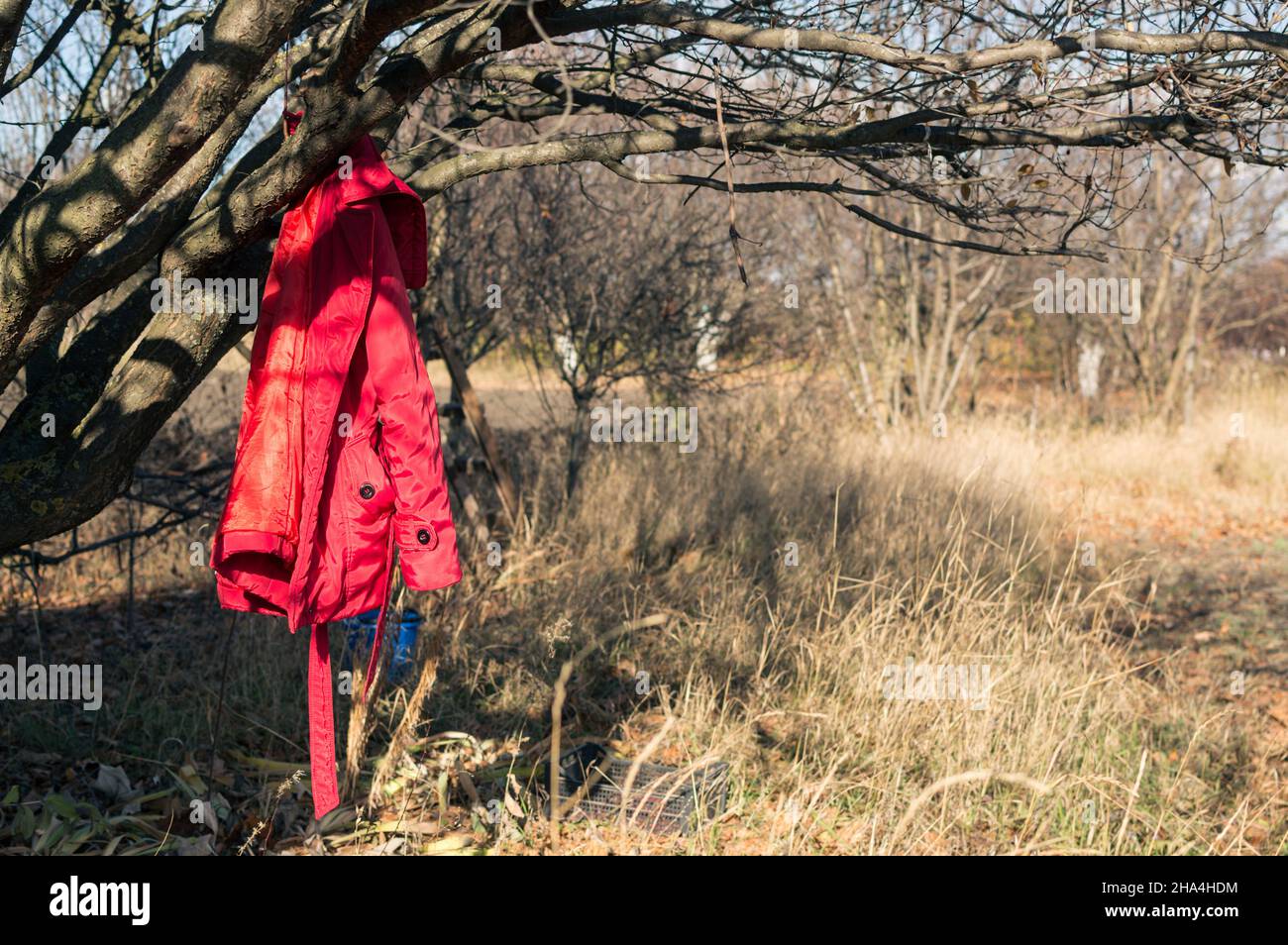 An einem sonnigen Tag hängt über trockenem Gras eine rote Jacke an einem Ast Stockfoto