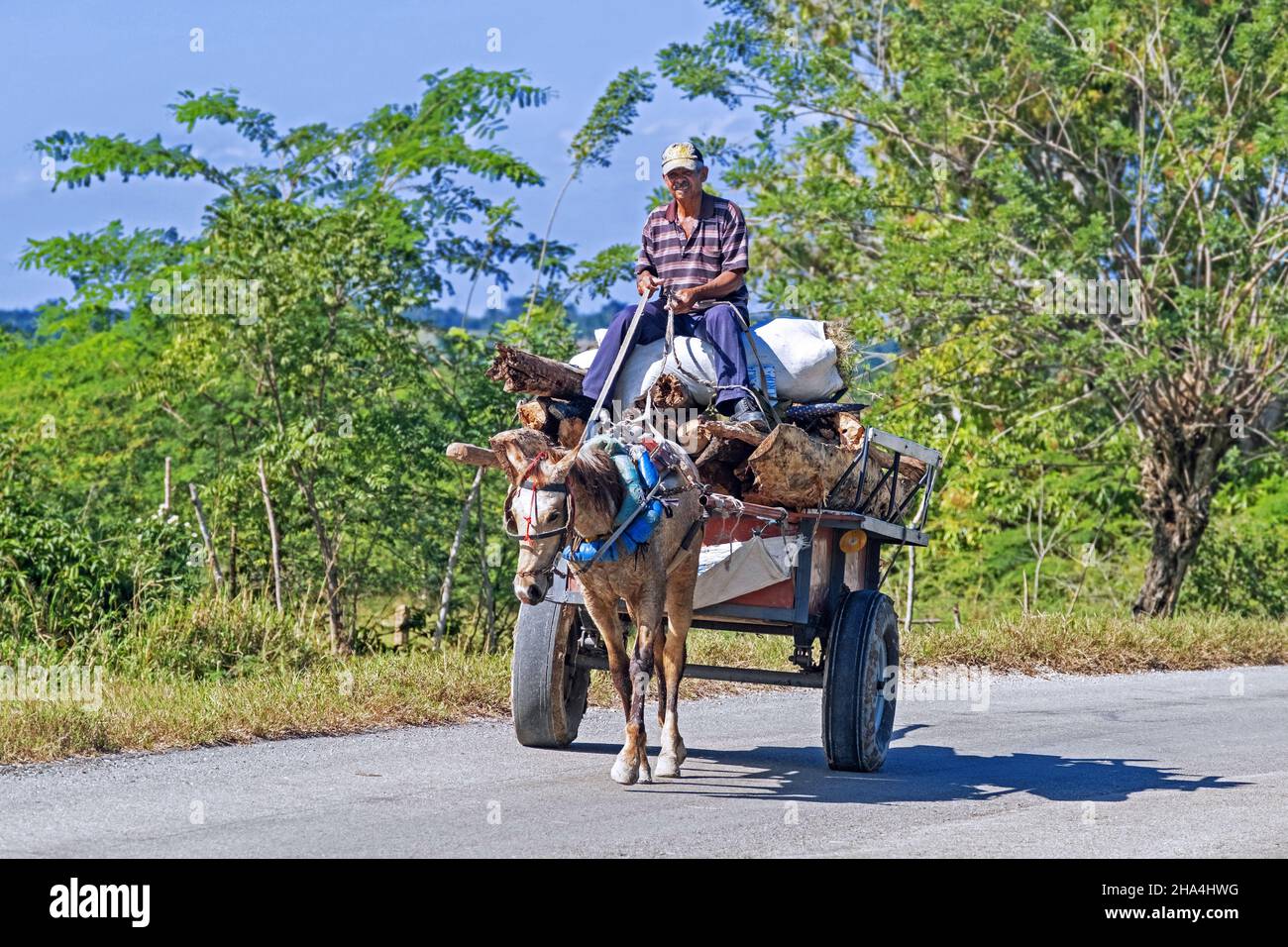 Kubaner auf Wagen, schwer beladen mit Feuerholz, gezogen vom Maultier auf der Straße in der Sierra Maestra, Provinz Santiago de Cuba auf der Insel Kuba, Karibik Stockfoto