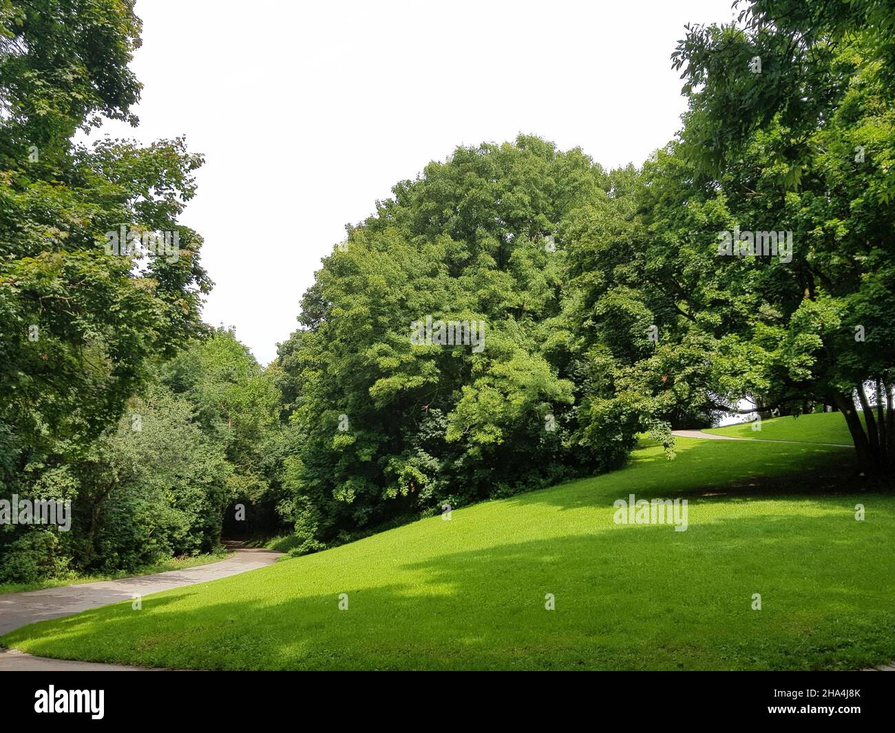 luitpoldpark, schwabing-Viertel, riesige Rasenflächen, üppige Bäume, ein Stück Natur mitten in der Stadt, eine wunderbare Aussicht vom luitpold-Hügel Stockfoto