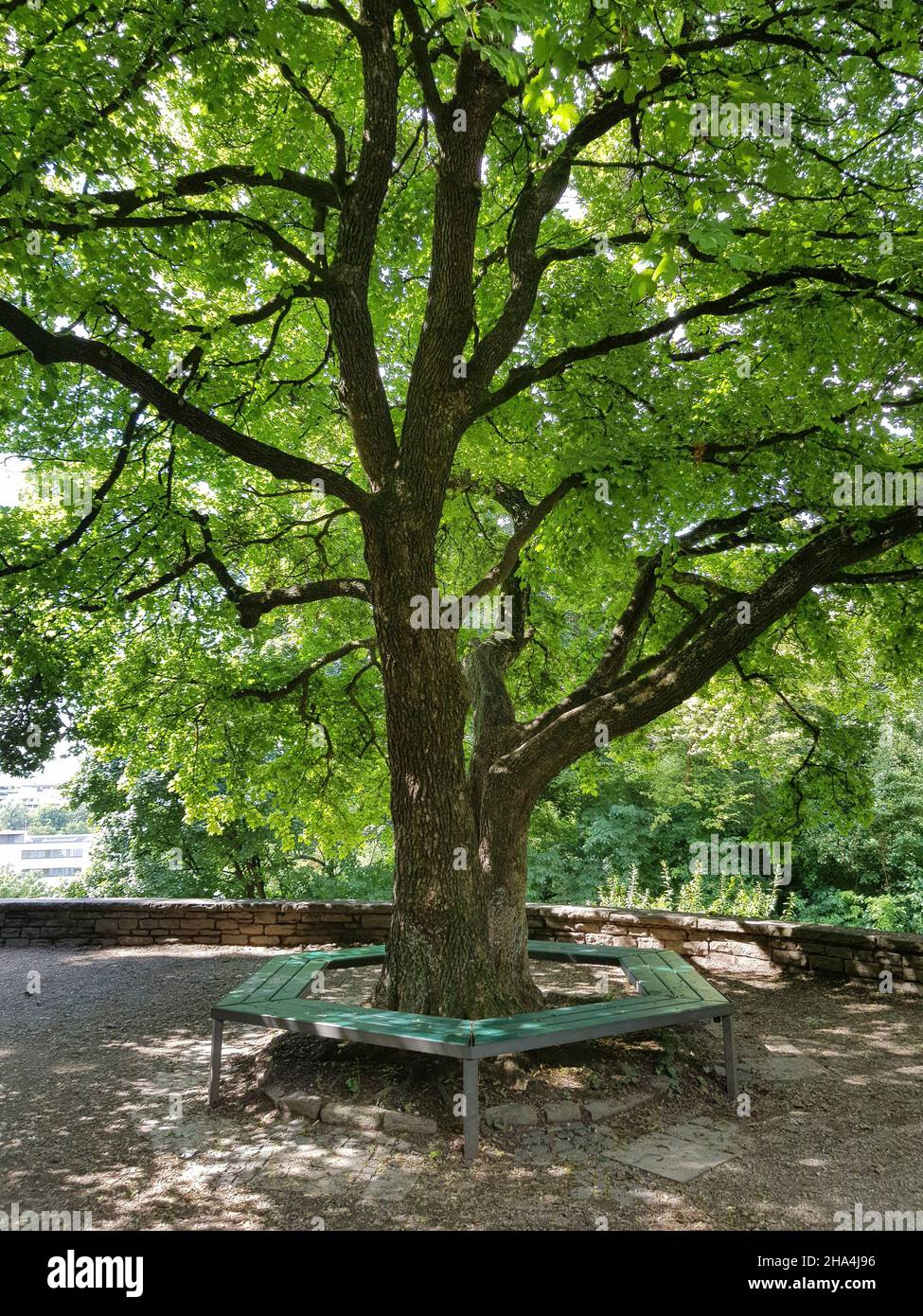 luitpoldpark, schwabing-Viertel, riesige Rasenflächen, üppige Bäume, ein Stück Natur mitten in der Stadt, vom luitpold-Hügel aus ein wunderbarer Blick auf die Stadt. Stockfoto
